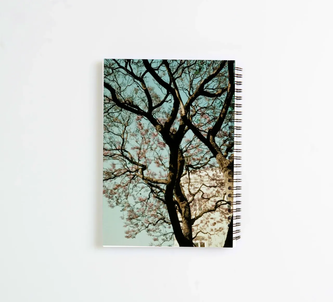 Analog Series The Tree In The City diario ad anelli da Sebastian Hilgetag