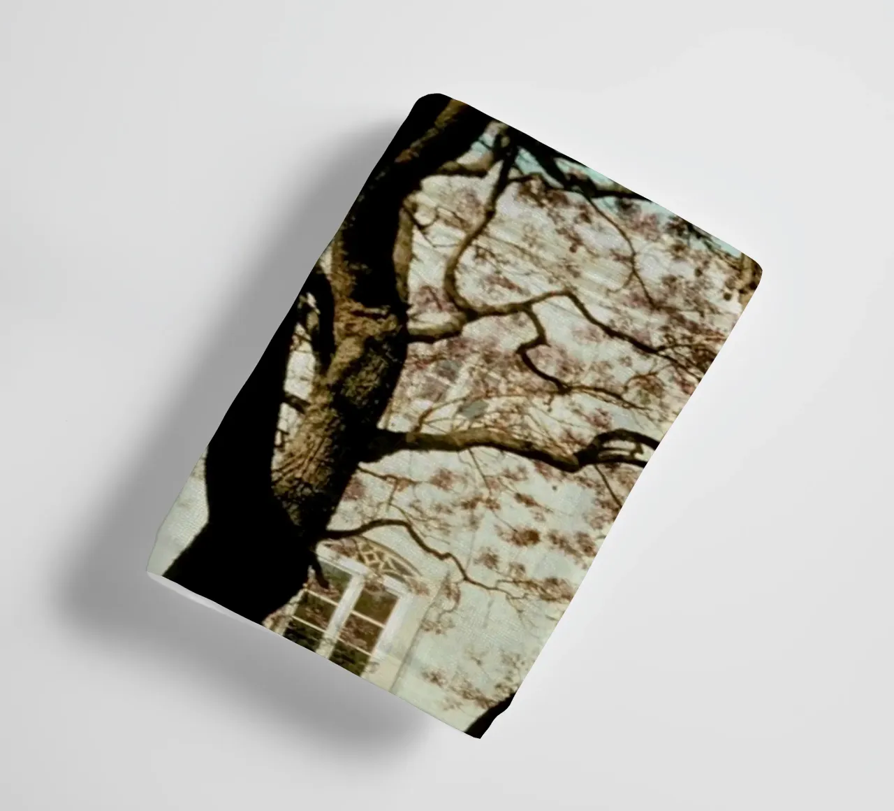 Analog Series The Tree In The City asciugamano da bagno da Sebastian Hilgetag
