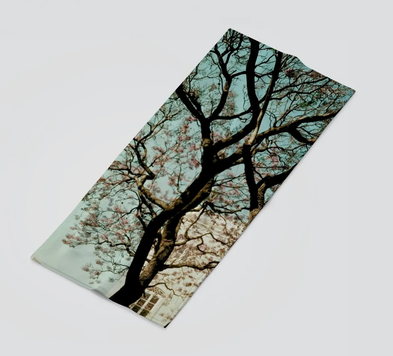 Analog Series The Tree In The City telo mare da Sebastian Hilgetag