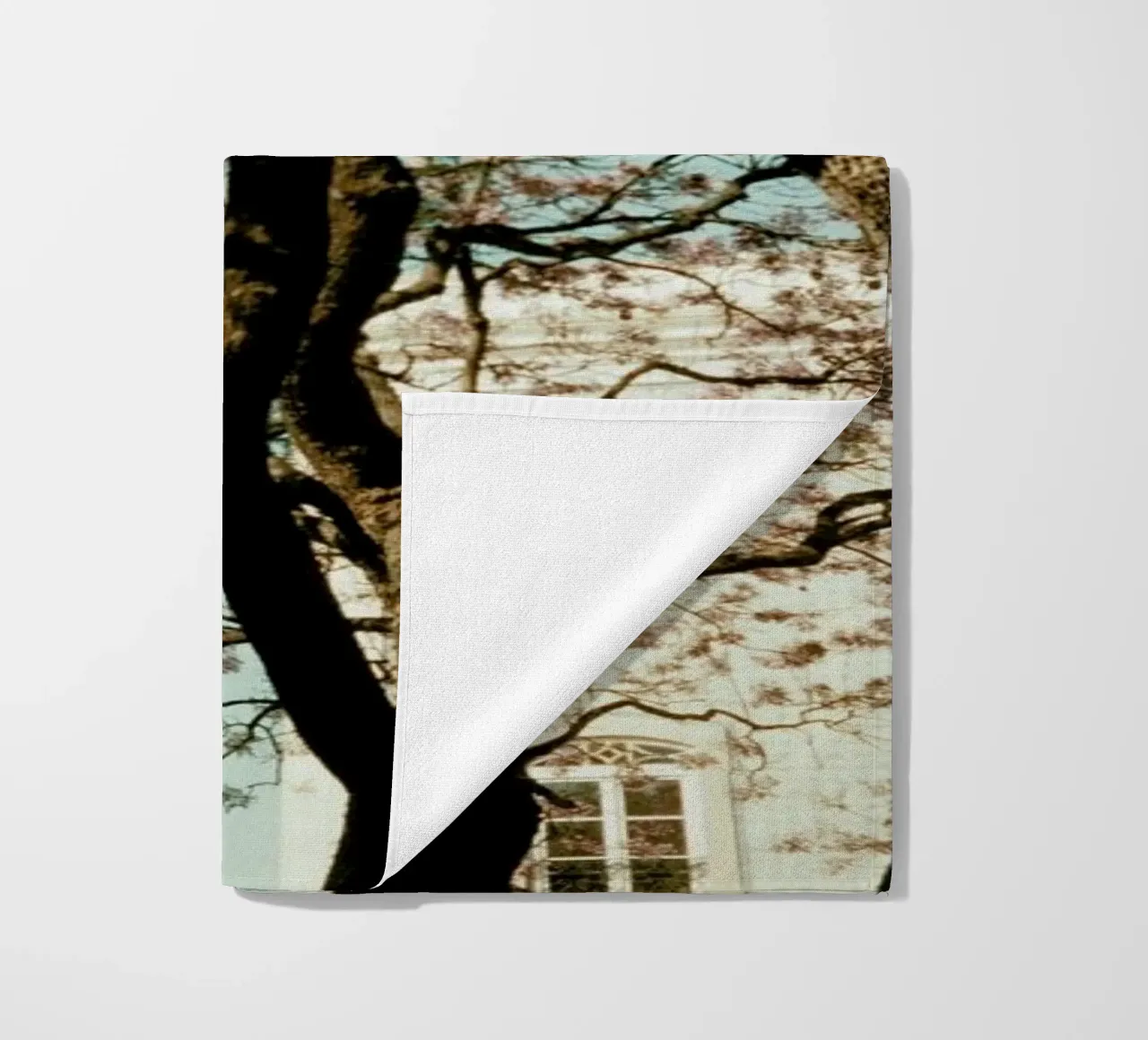 Analog Series The Tree In The City telo mare da Sebastian Hilgetag