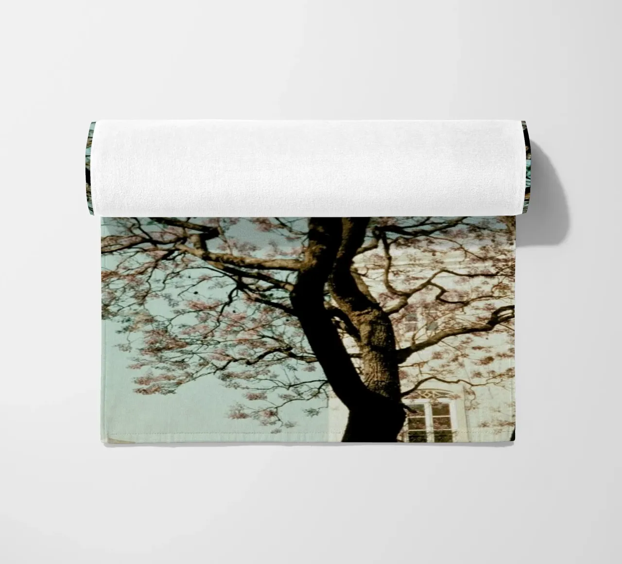 Analog Series The Tree In The City telo mare da Sebastian Hilgetag