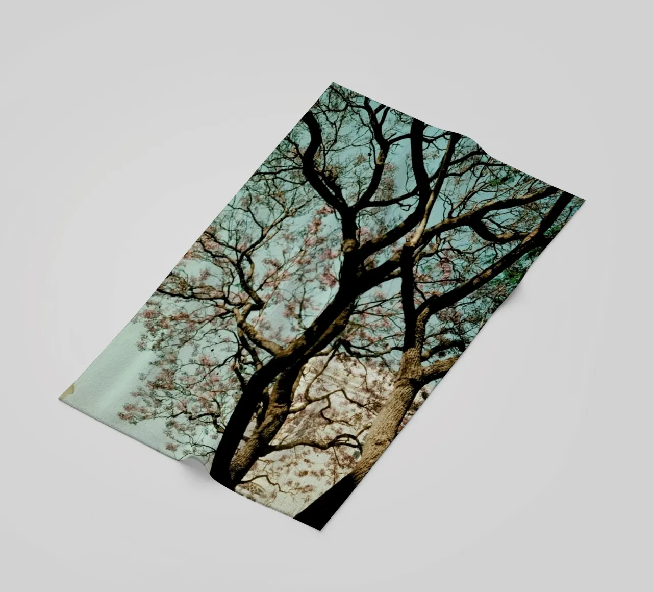 Analog Series The Tree In The City telo mare da Sebastian Hilgetag