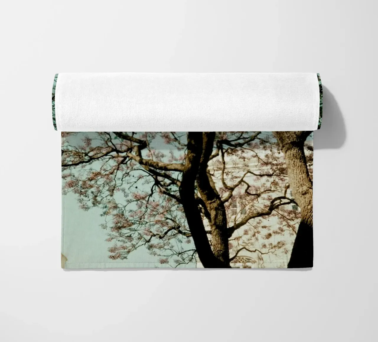 Analog Series The Tree In The City telo mare da Sebastian Hilgetag