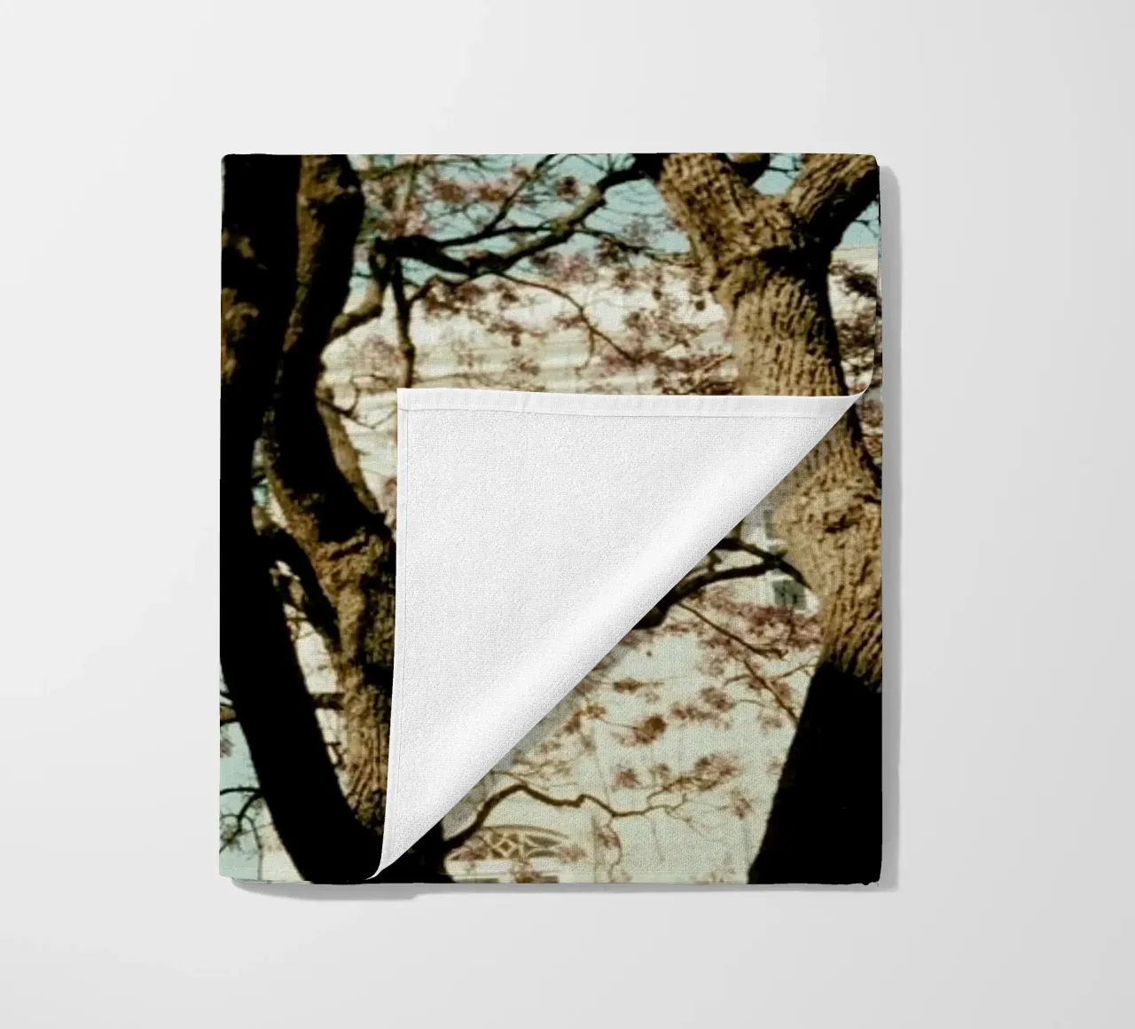 Analog Series The Tree In The City telo mare da Sebastian Hilgetag