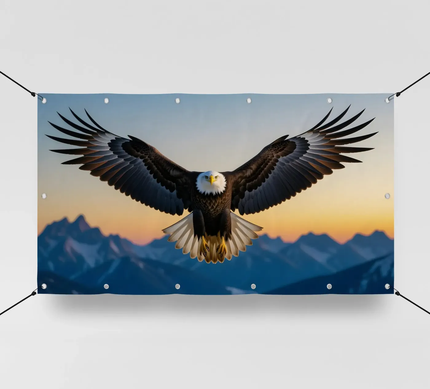 Bald Eagle pvc cover by Wild Beauty