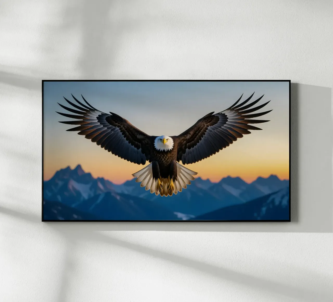 Bald Eagle plexiglass da Wild Beauty