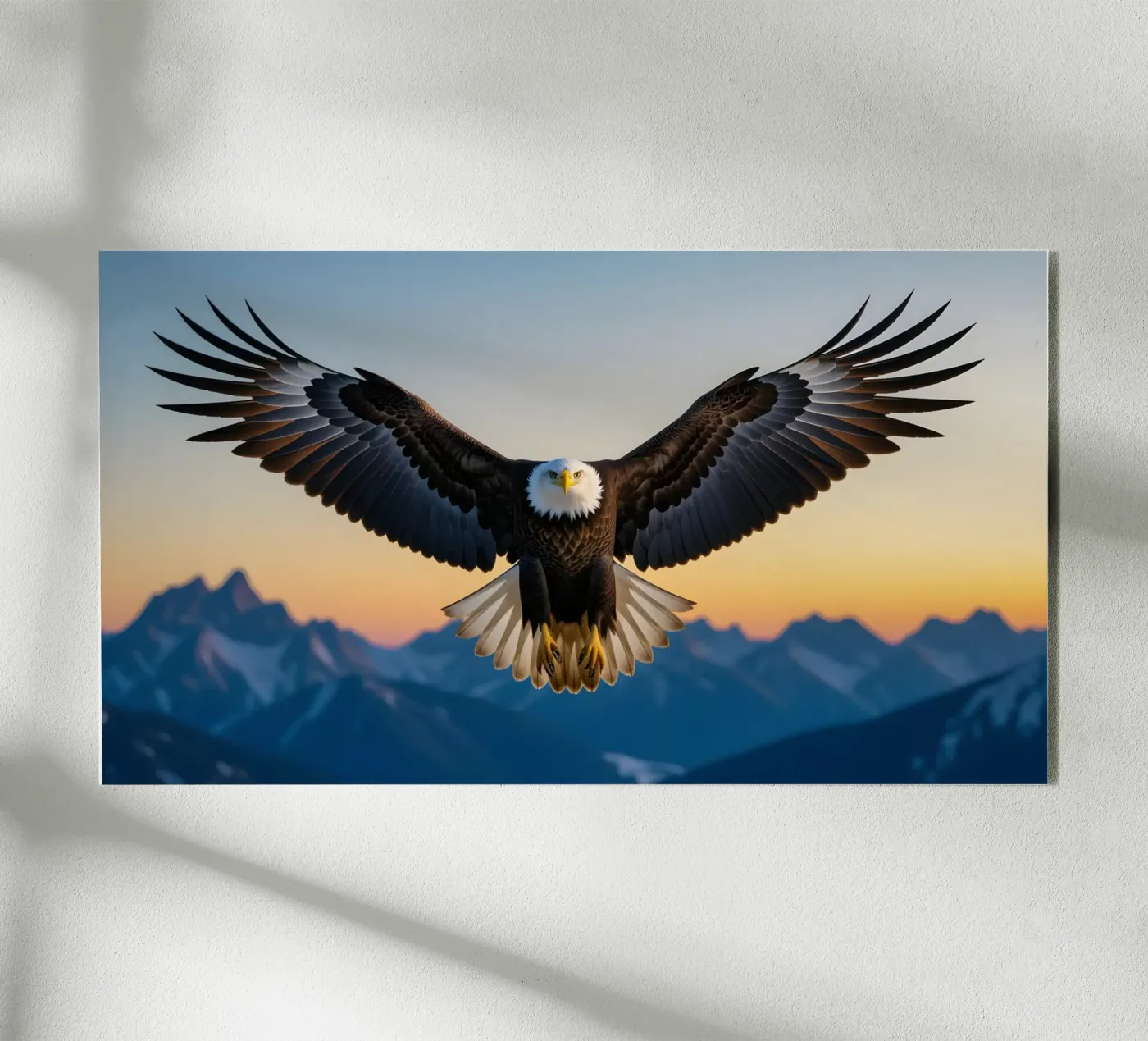 Zeearend acryl van Wild Beauty