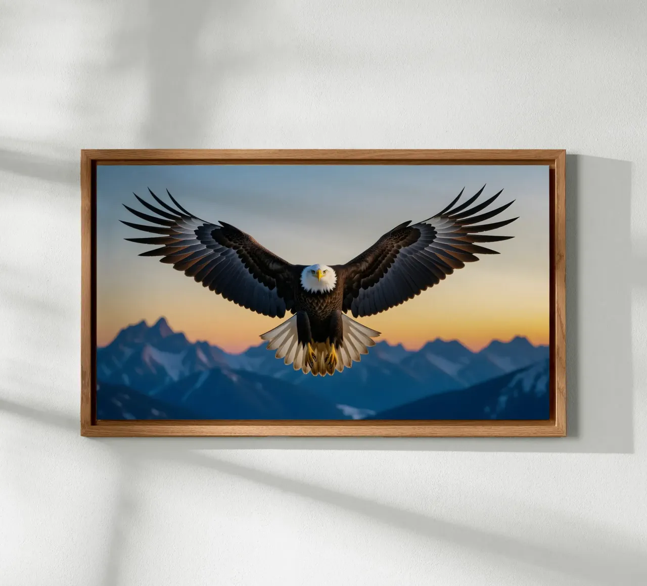 Bald Eagle forex plate by Wild Beauty