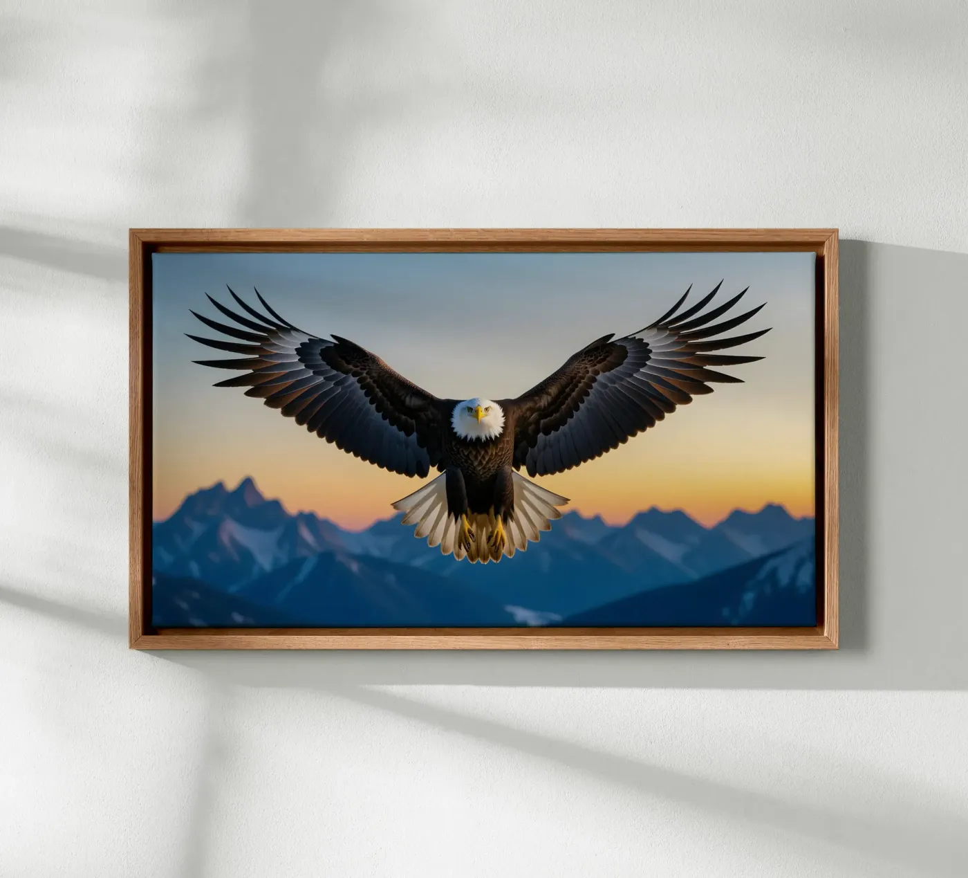 Bald Eagle Leinwand von Wild Beauty