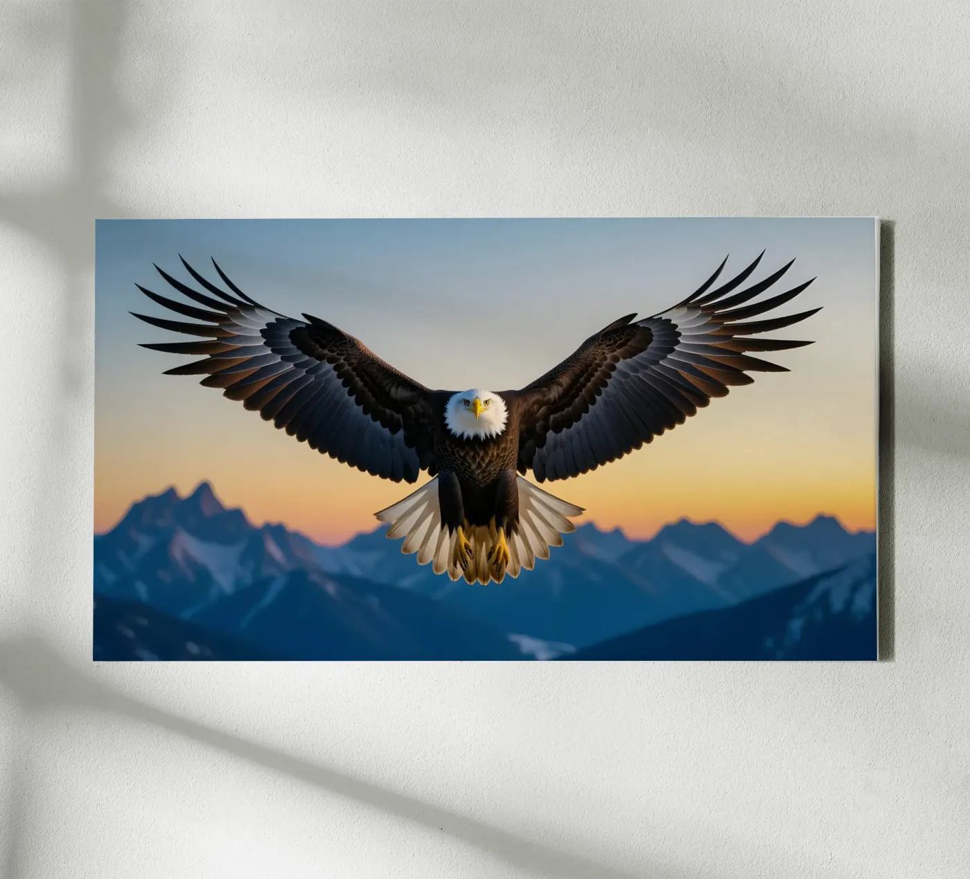Bald Eagle Leinwand von Wild Beauty