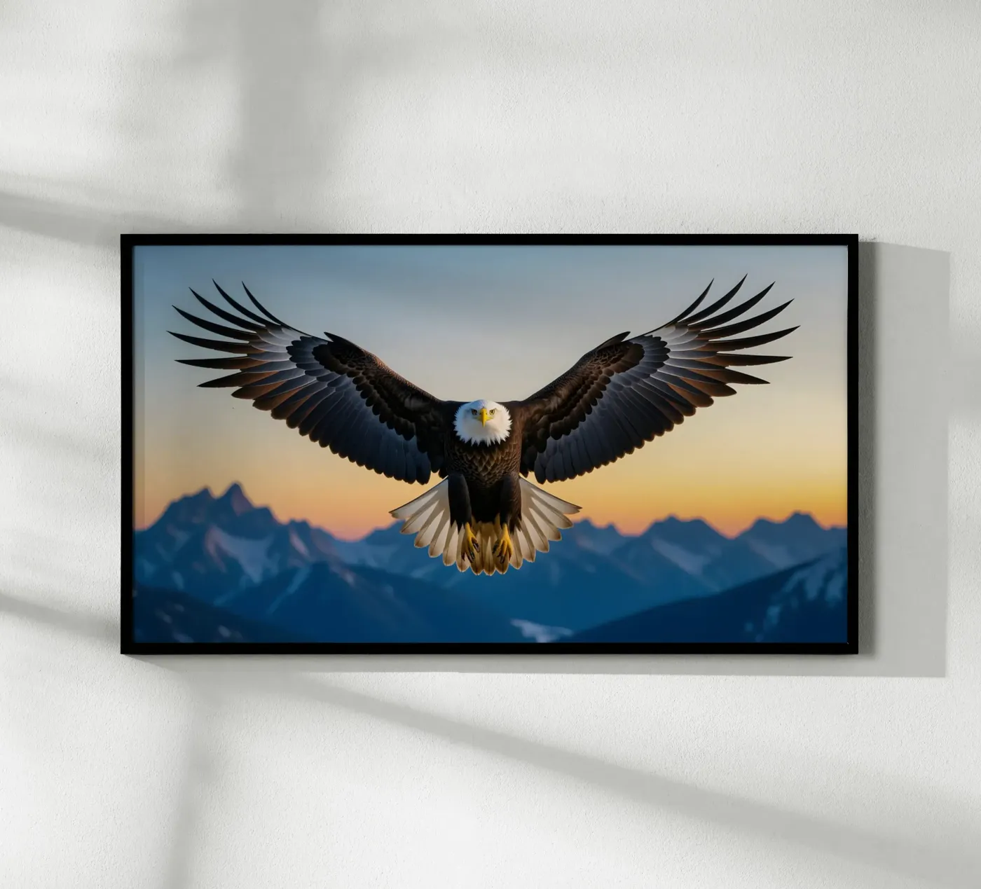 Aquila calva poster da Wild Beauty