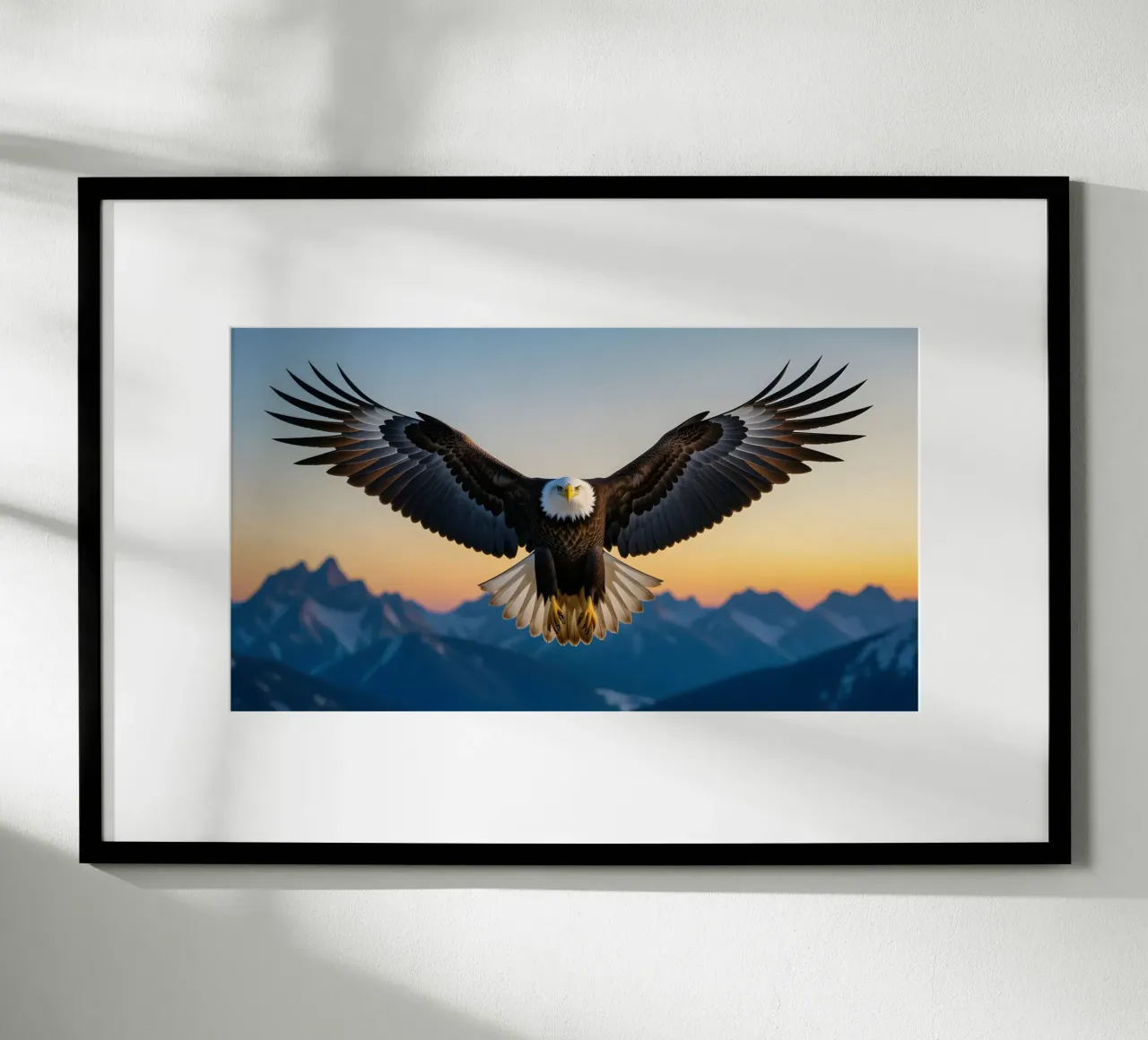 Aquila calva carta hahnemühle da Wild Beauty