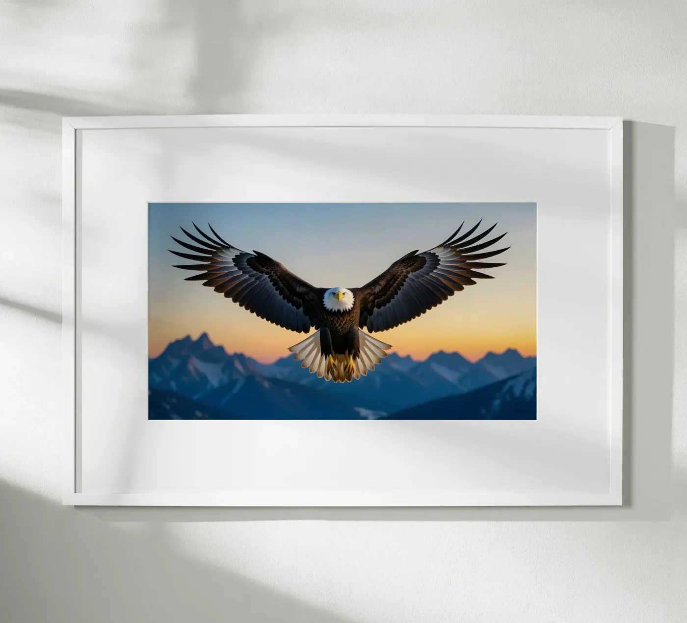 Weißkopfseeadler Poster von Wild Beauty