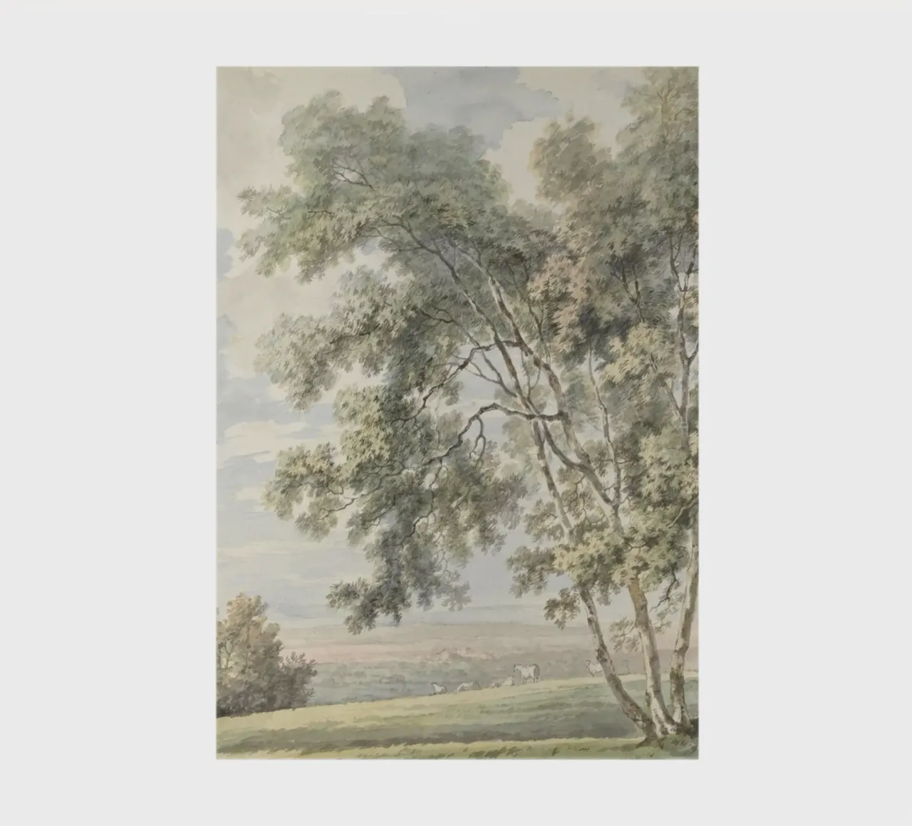 Pastoral Landscape: Elegant Trees, Gentle Countryside notebook by ClubArt
