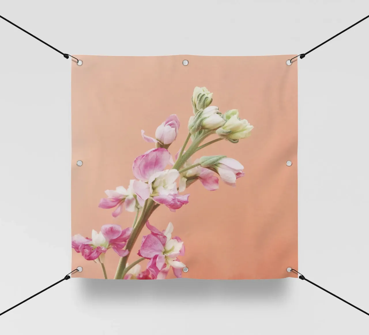 Fioritura telo in pvc da Cassia Beck Photography