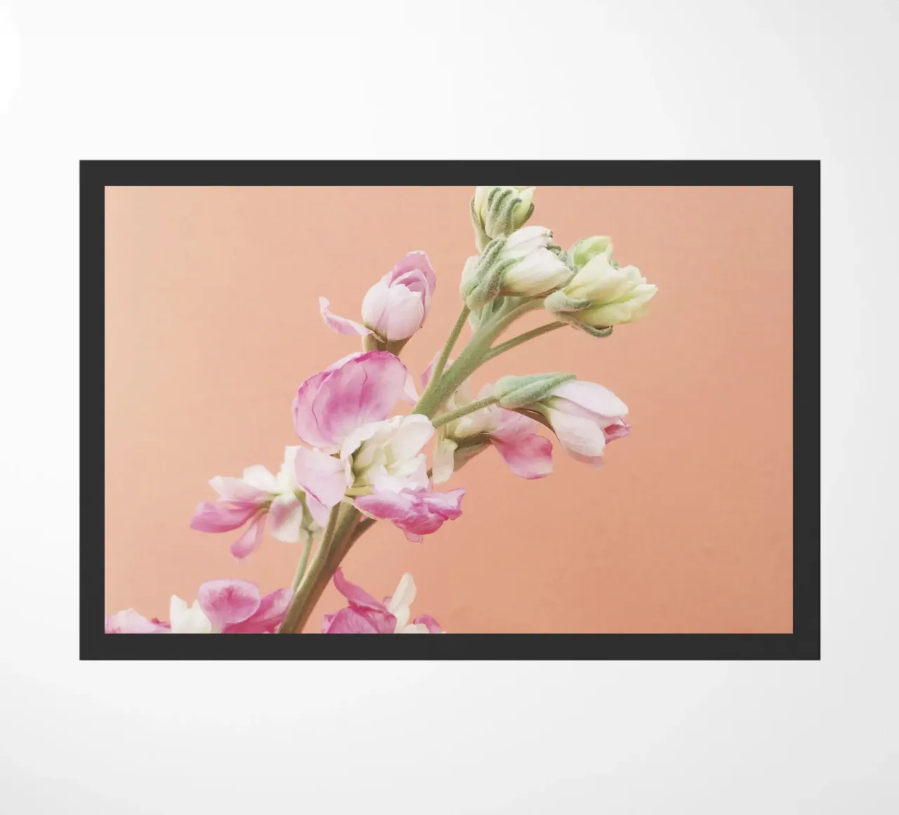 Bloei deurmat van Cassia Beck Photography