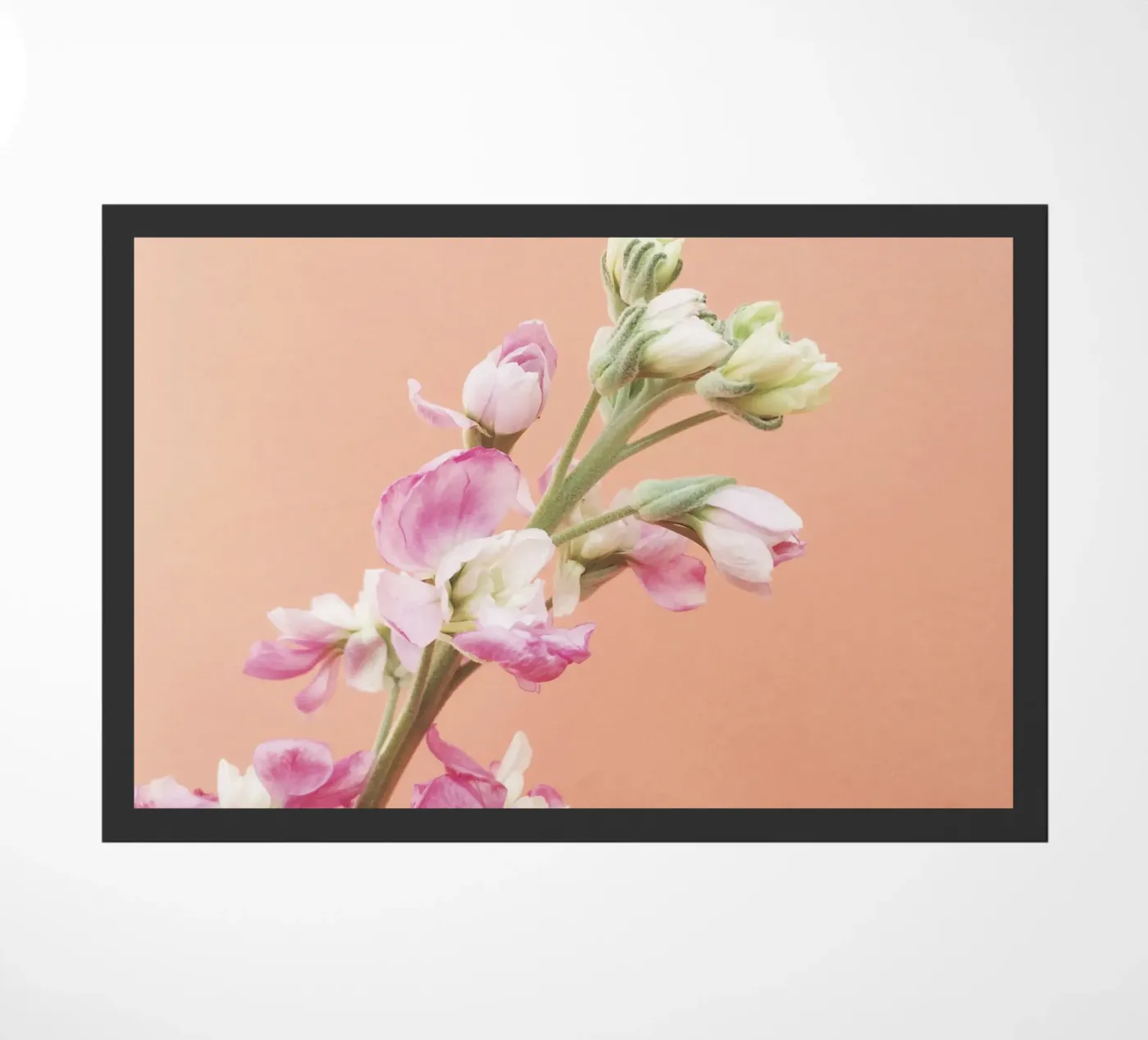 Bloei deurmat van Cassia Beck Photography