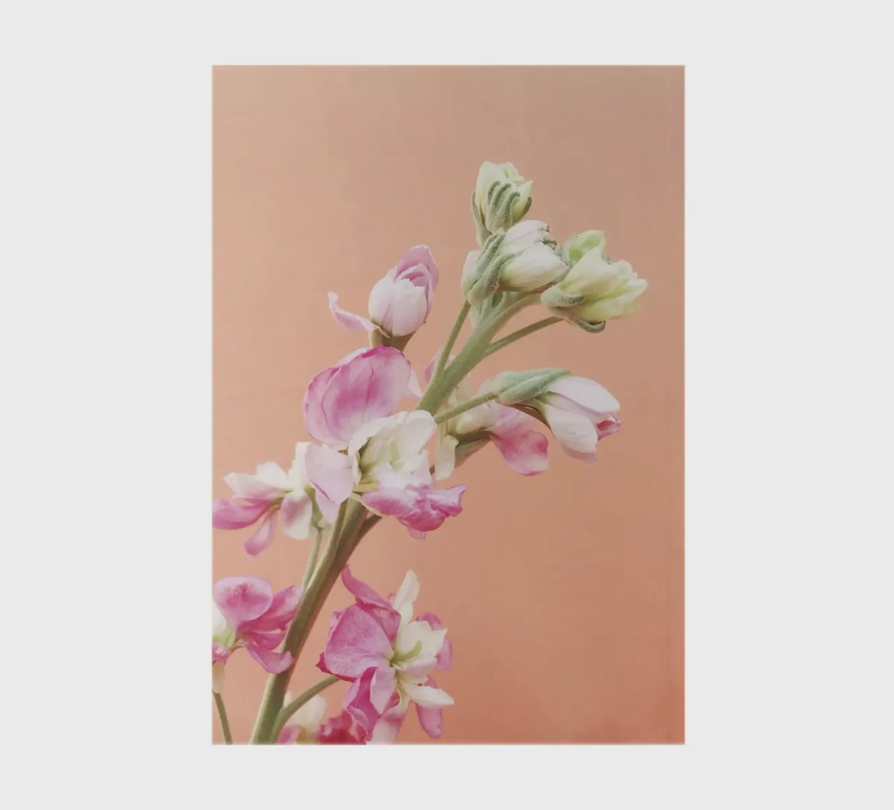 Flourish notebook by Cassia Beck Photography