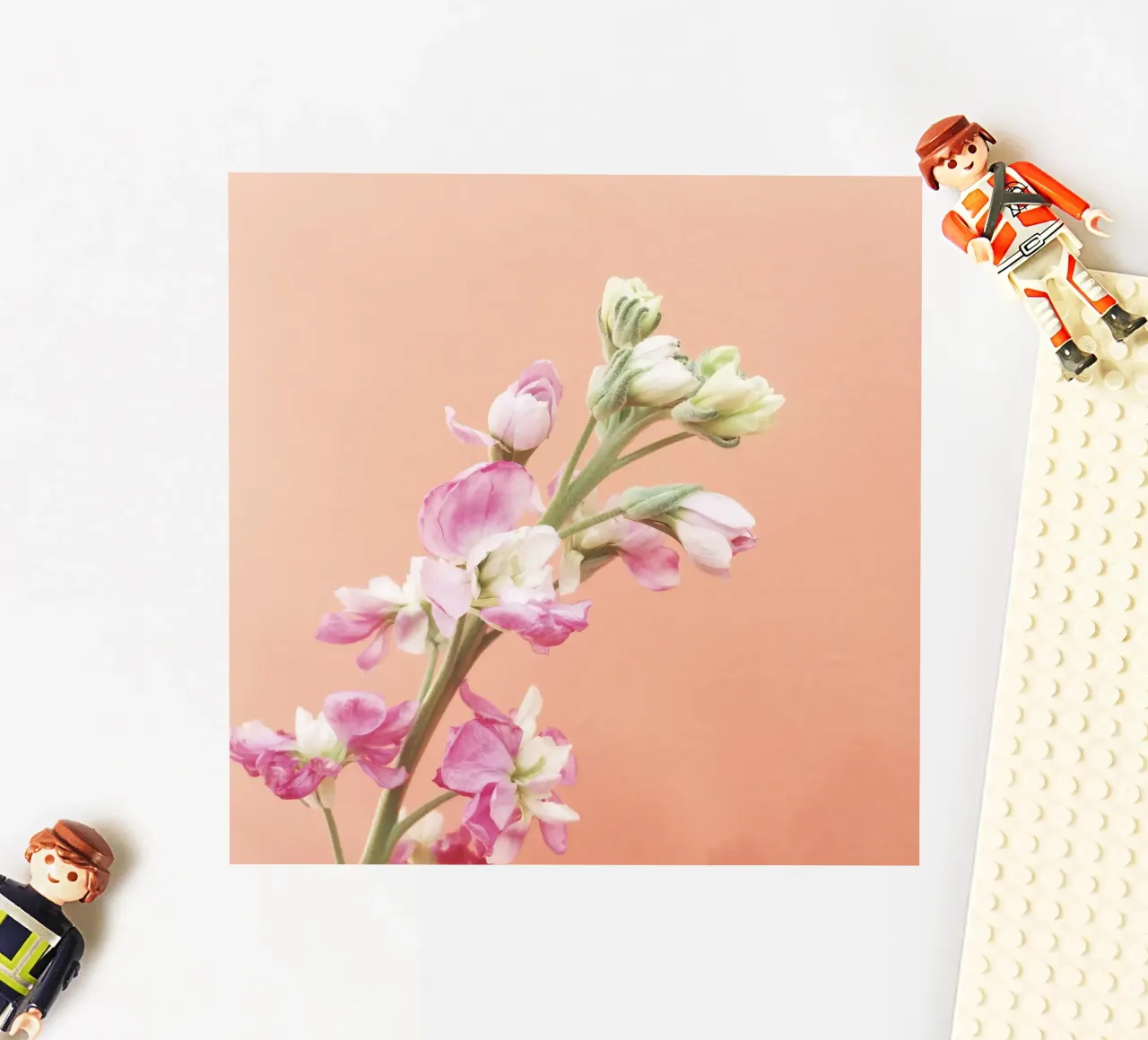 Flourish sticker by Cassia Beck Photography