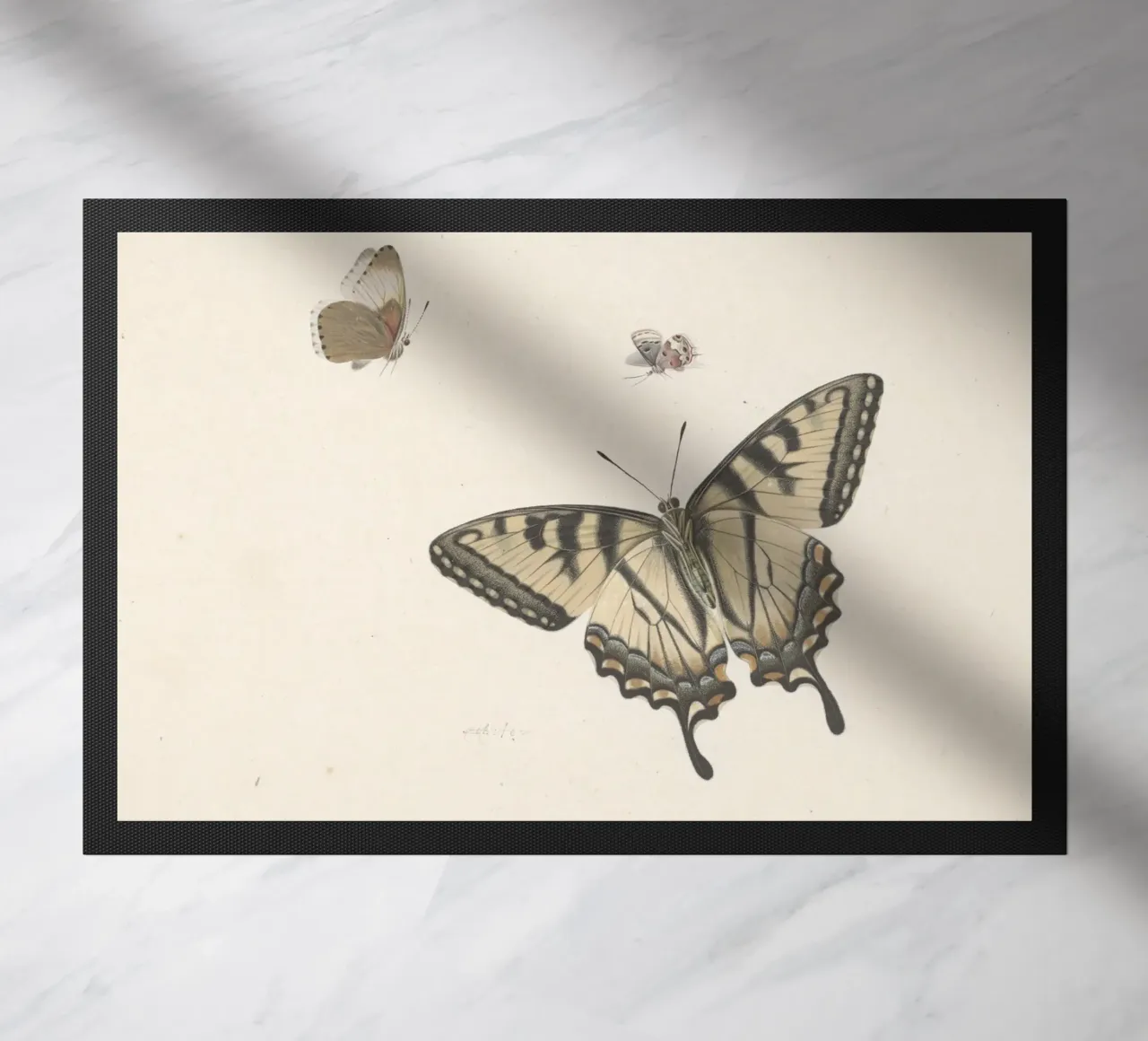 Farfalla coda di rondine: Studio naturalistico d'epoca, Botanica A zerbino da ClubArt