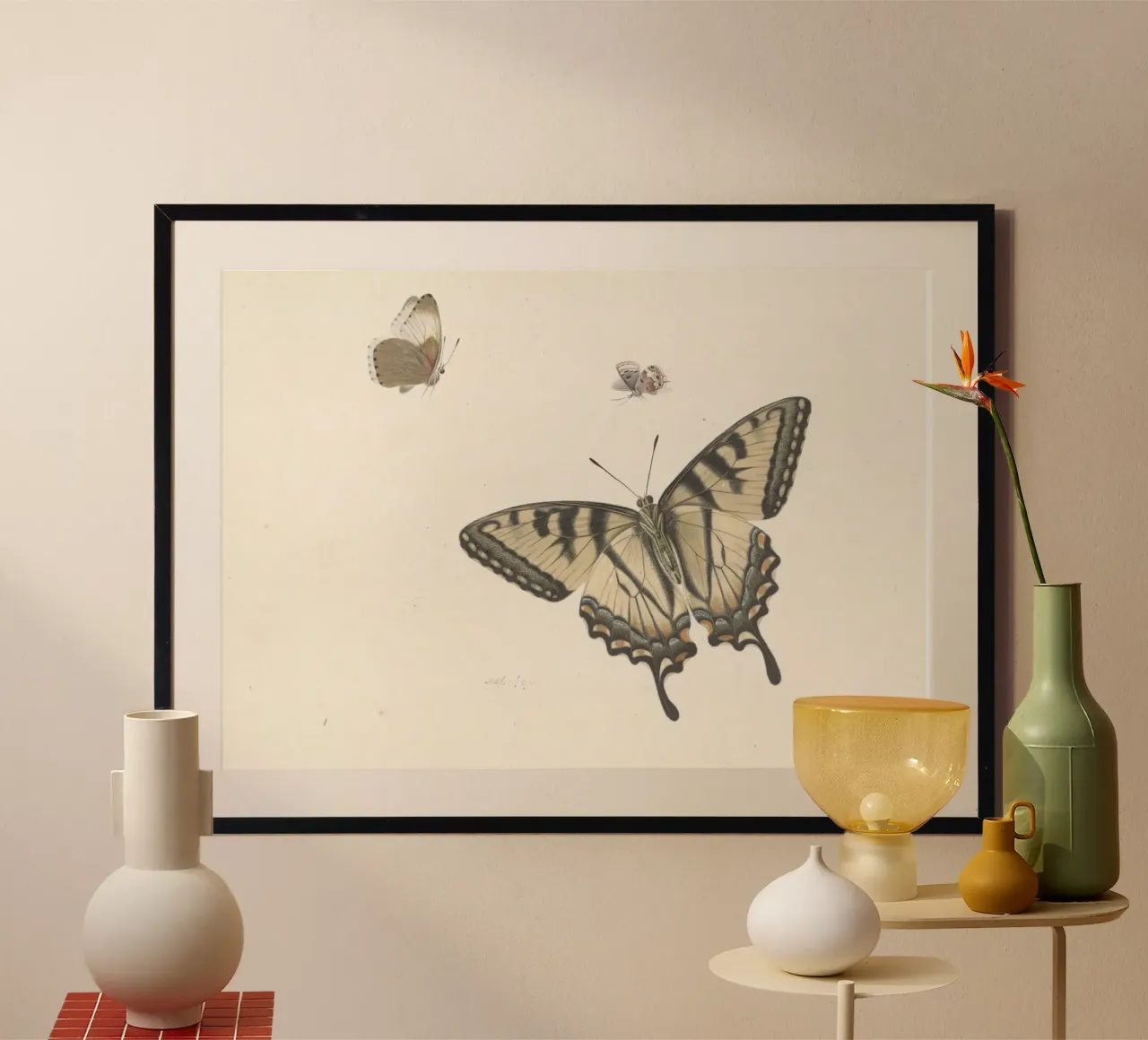 Farfalla coda di rondine: Studio naturalistico d'epoca, Botanica A carta hahnemühle da ClubArt