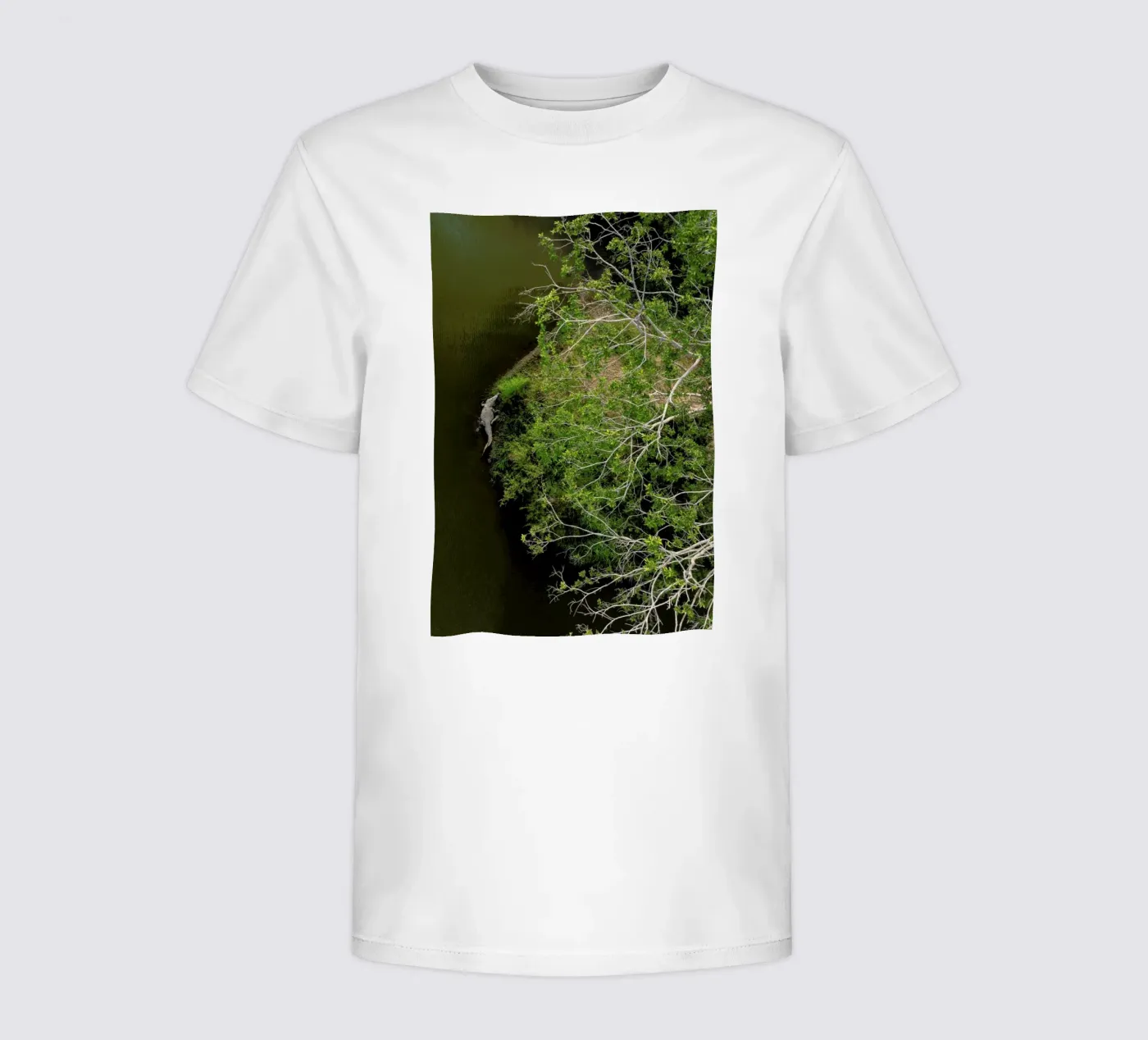 Cocodrilo t-shirt bambini da ROBERTO H