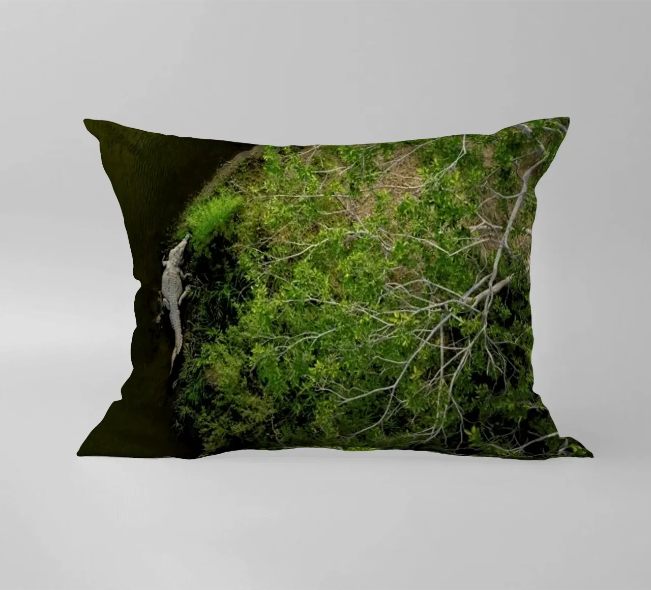 Cocodrilo cuscino da ROBERTO H