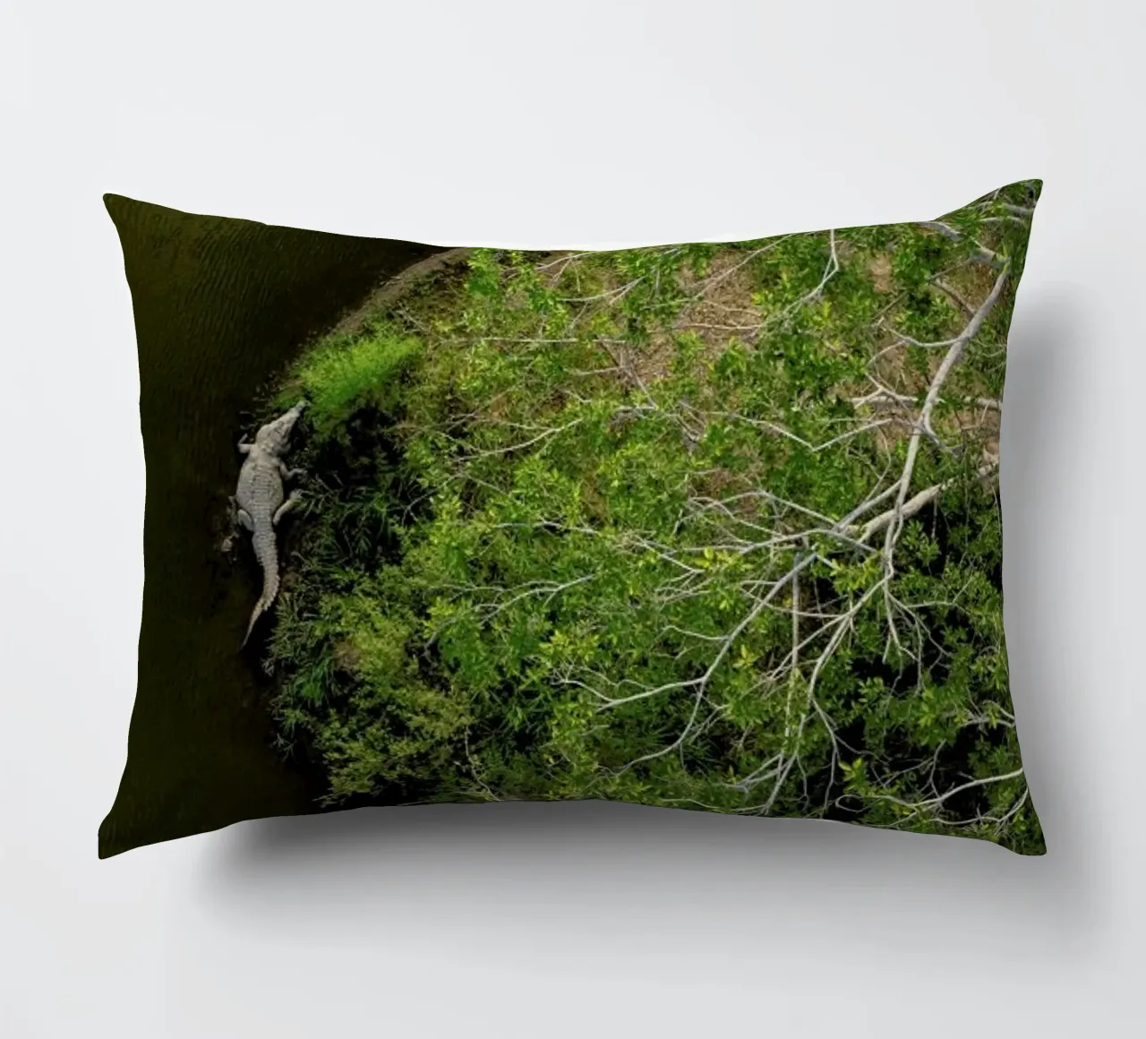 Cocodrilo cuscino da ROBERTO H