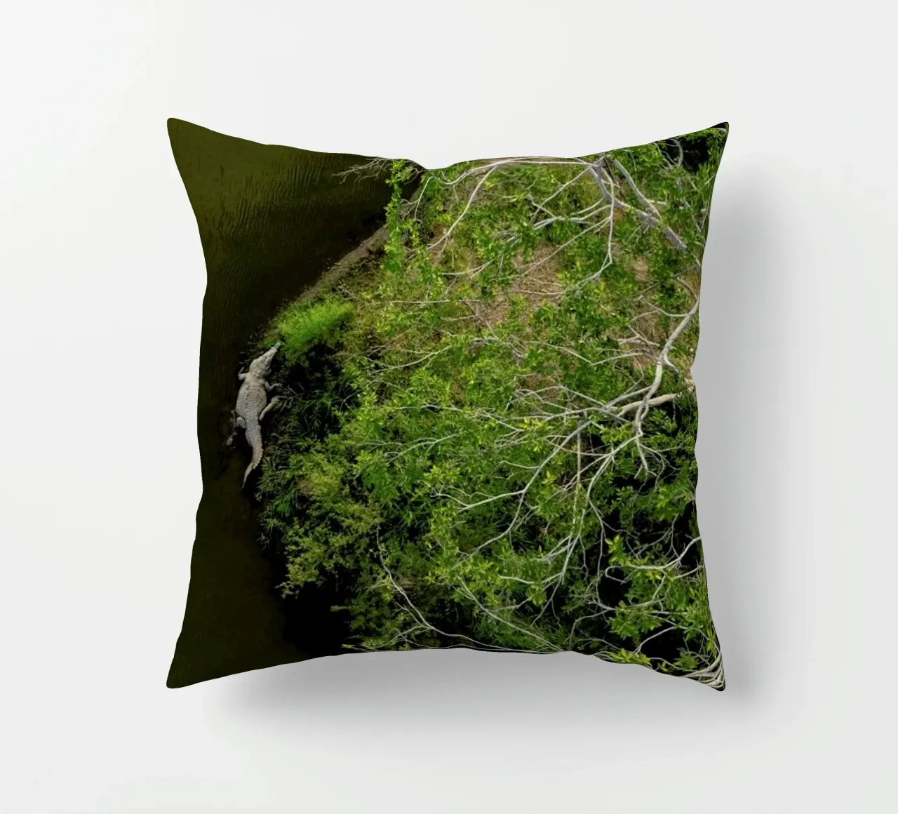 Cocodrilo cuscino da ROBERTO H