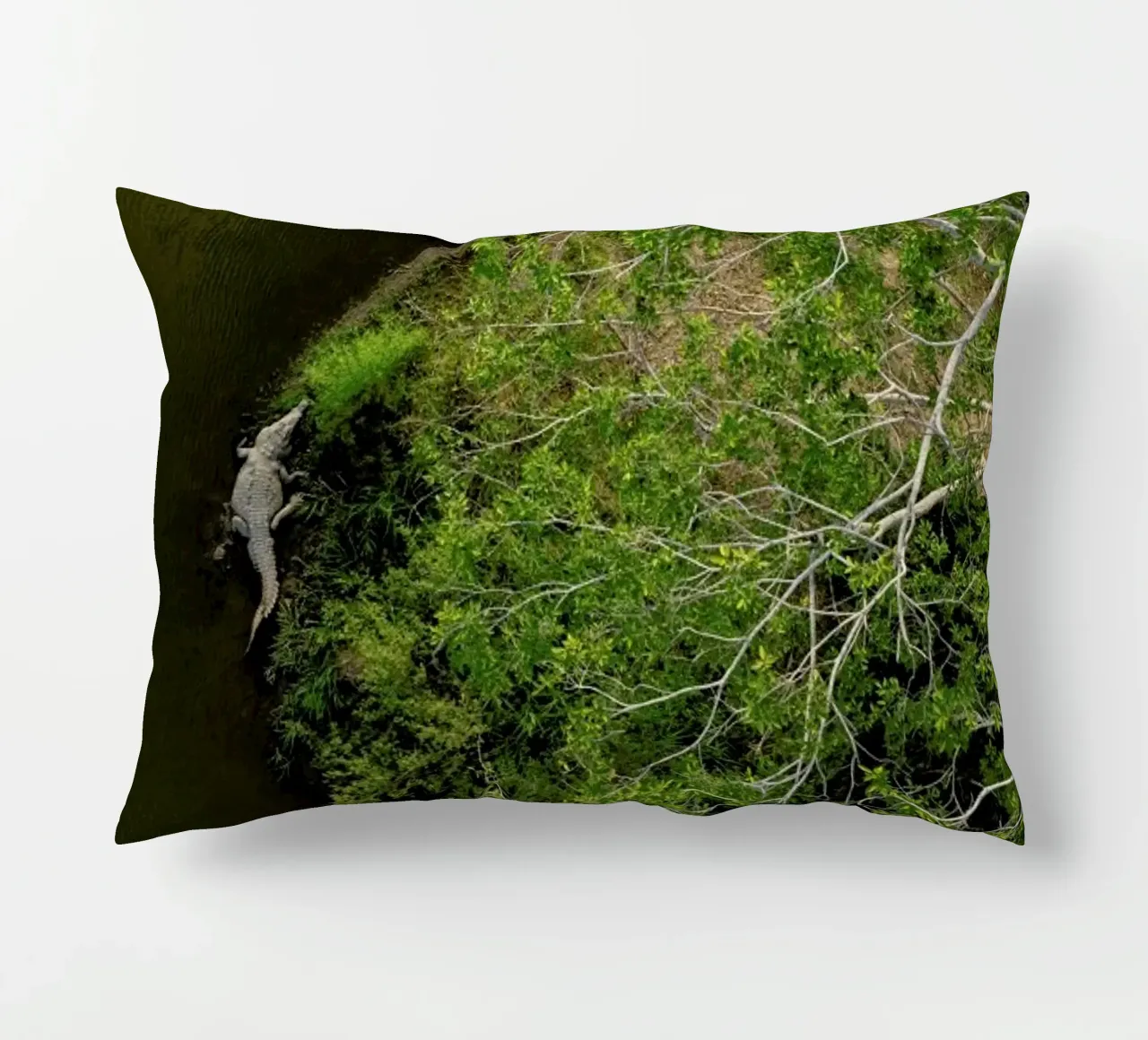 Cocodrilo cuscino da ROBERTO H