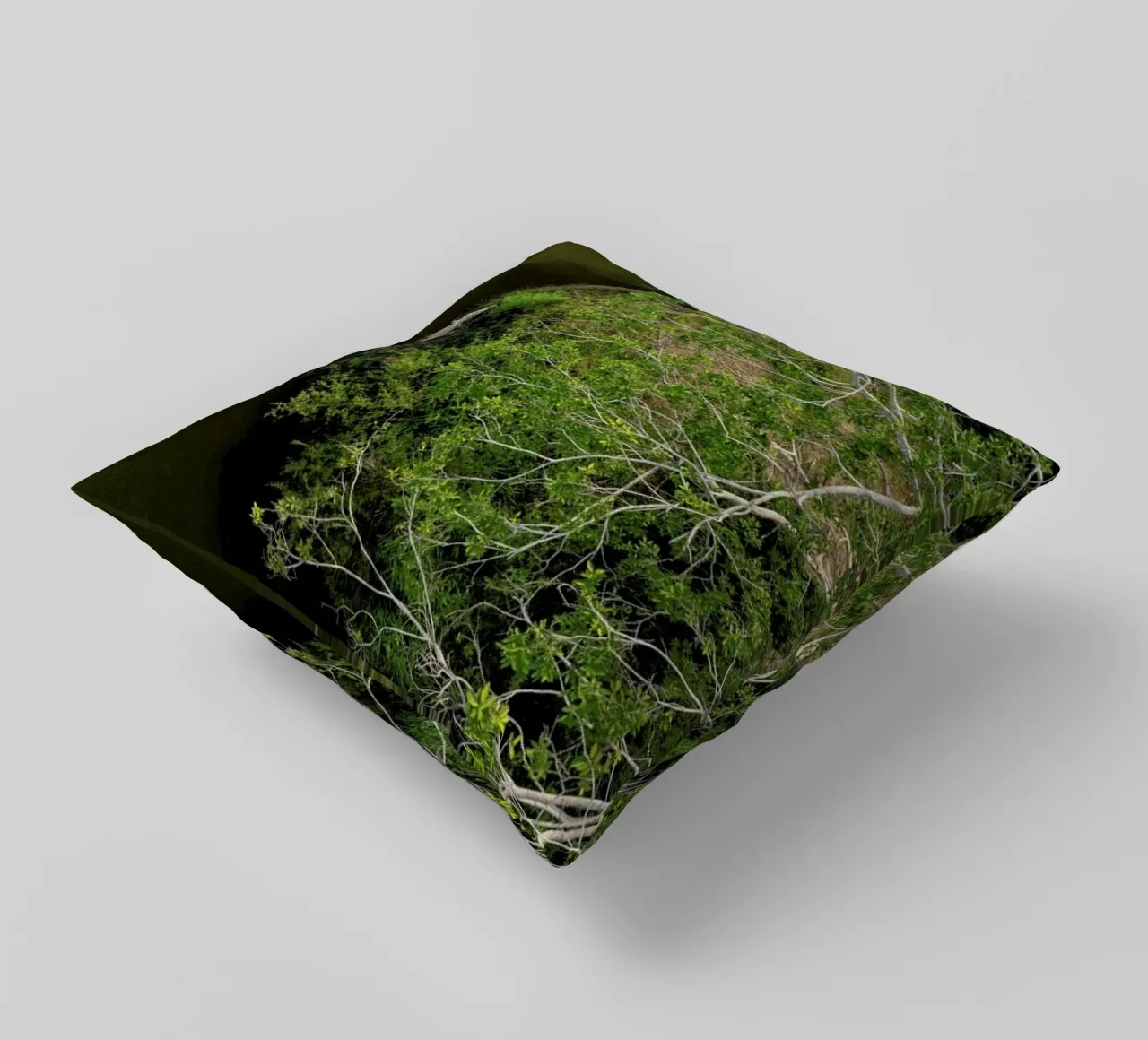 Cocodrilo cuscino da ROBERTO H