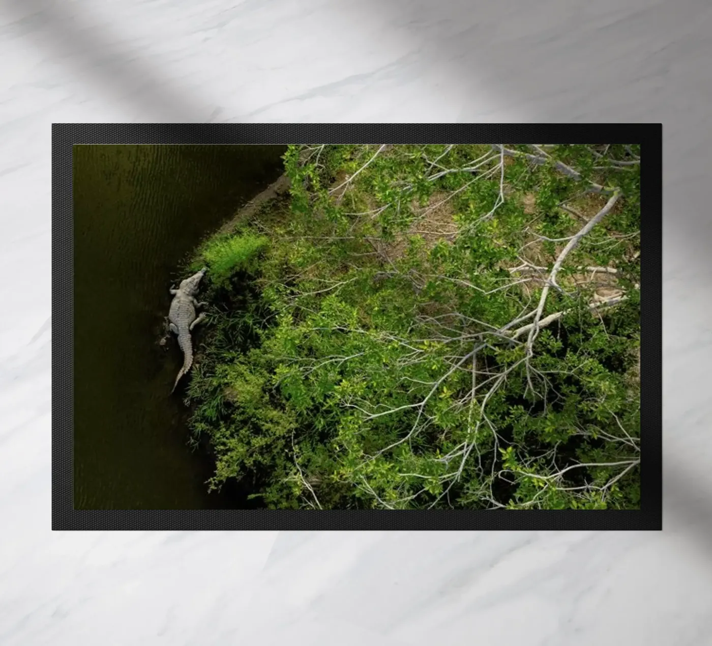 Cocodrilo Fußmatte von ROBERTO H