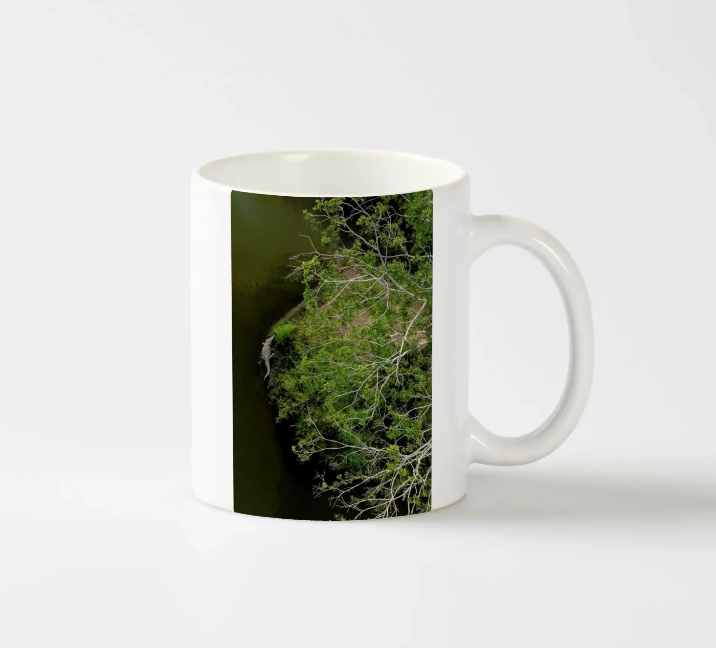 Cocodrilo ceramic mug by ROBERTO H