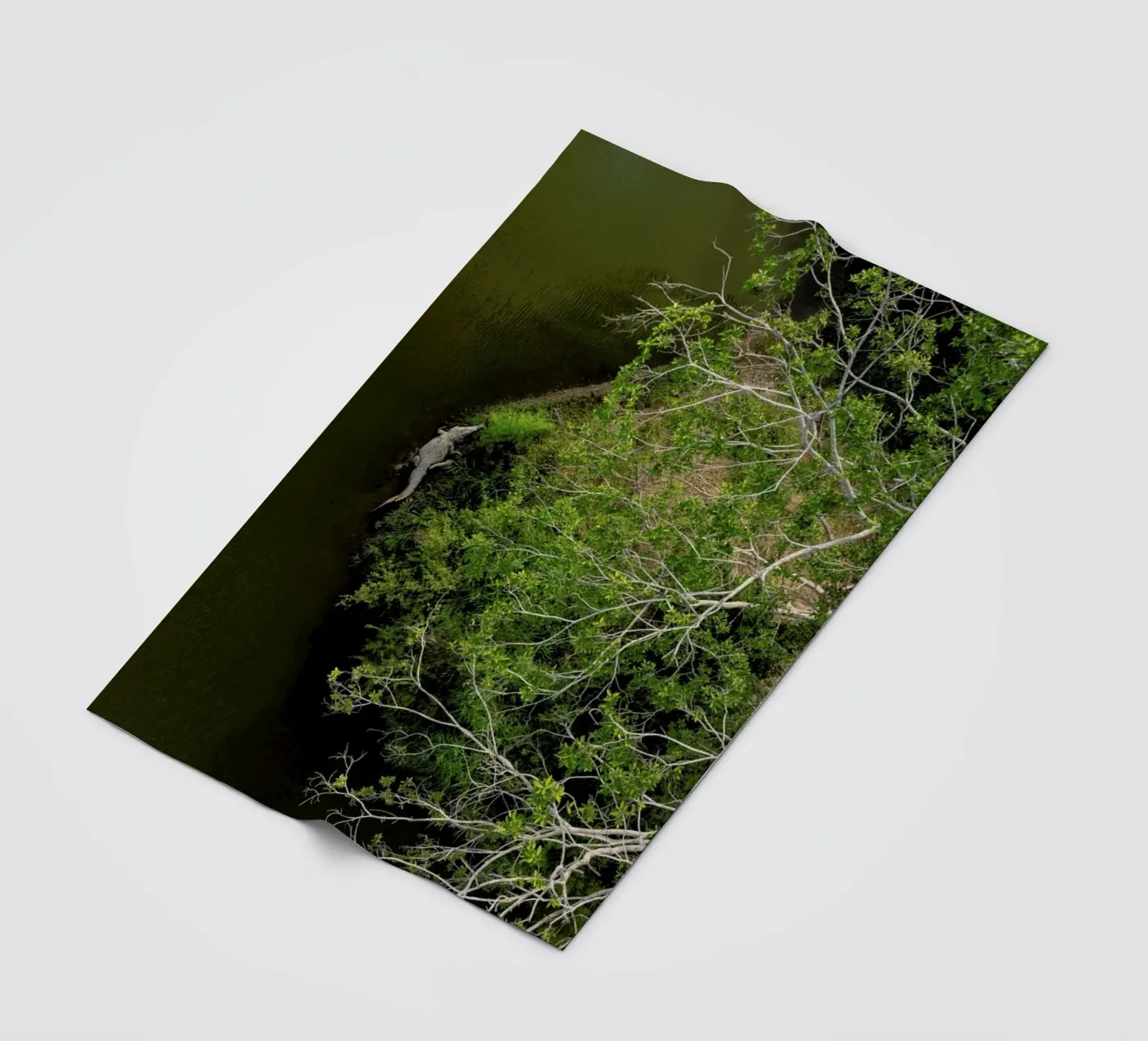 Cocodrilo fleece blanket by ROBERTO H