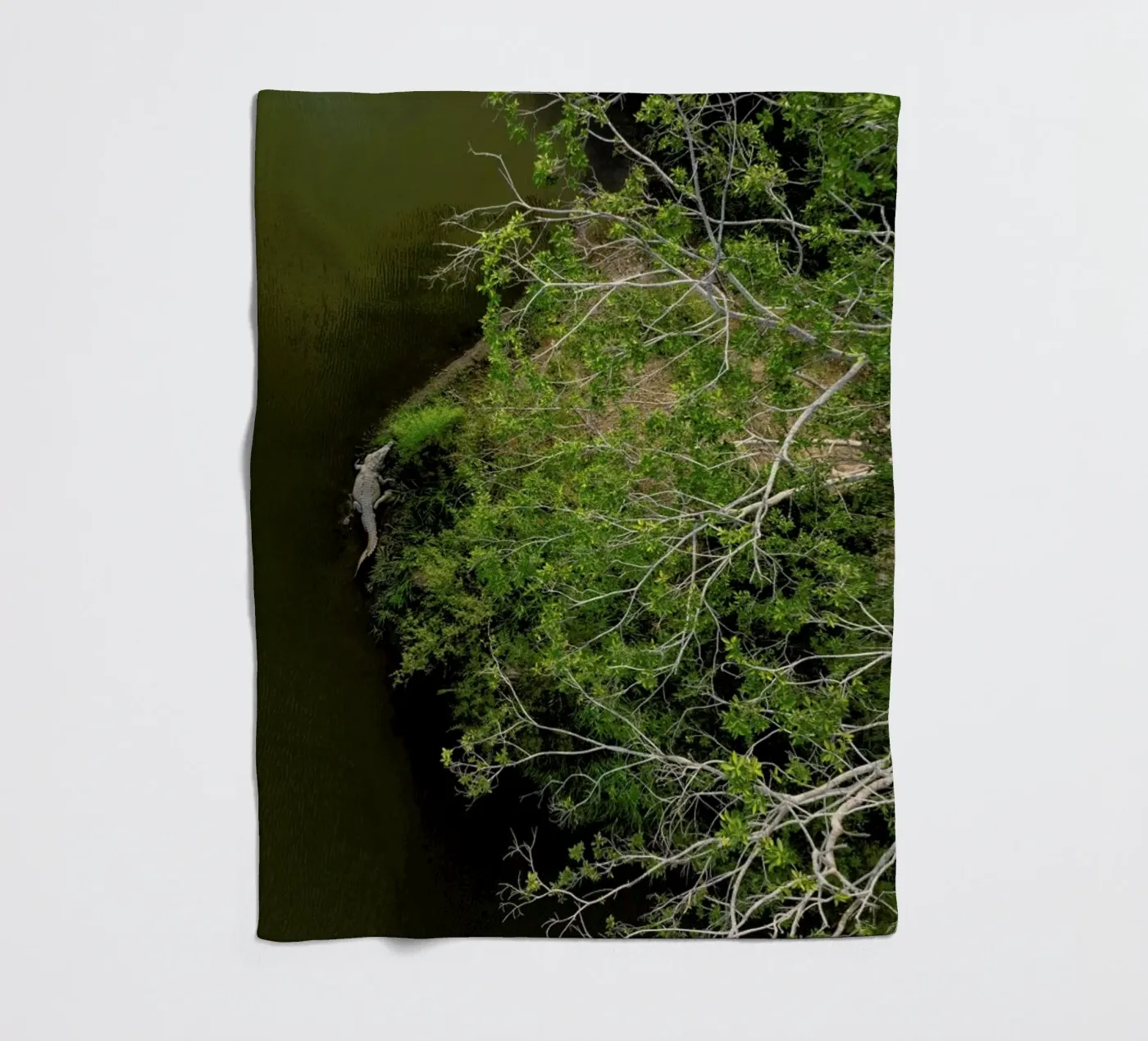 Cocodrilo fleece blanket by ROBERTO H