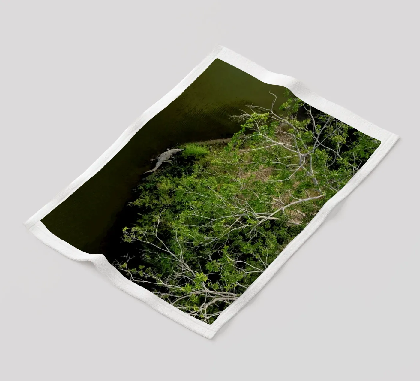 Cocodrilo fleece blanket by ROBERTO H