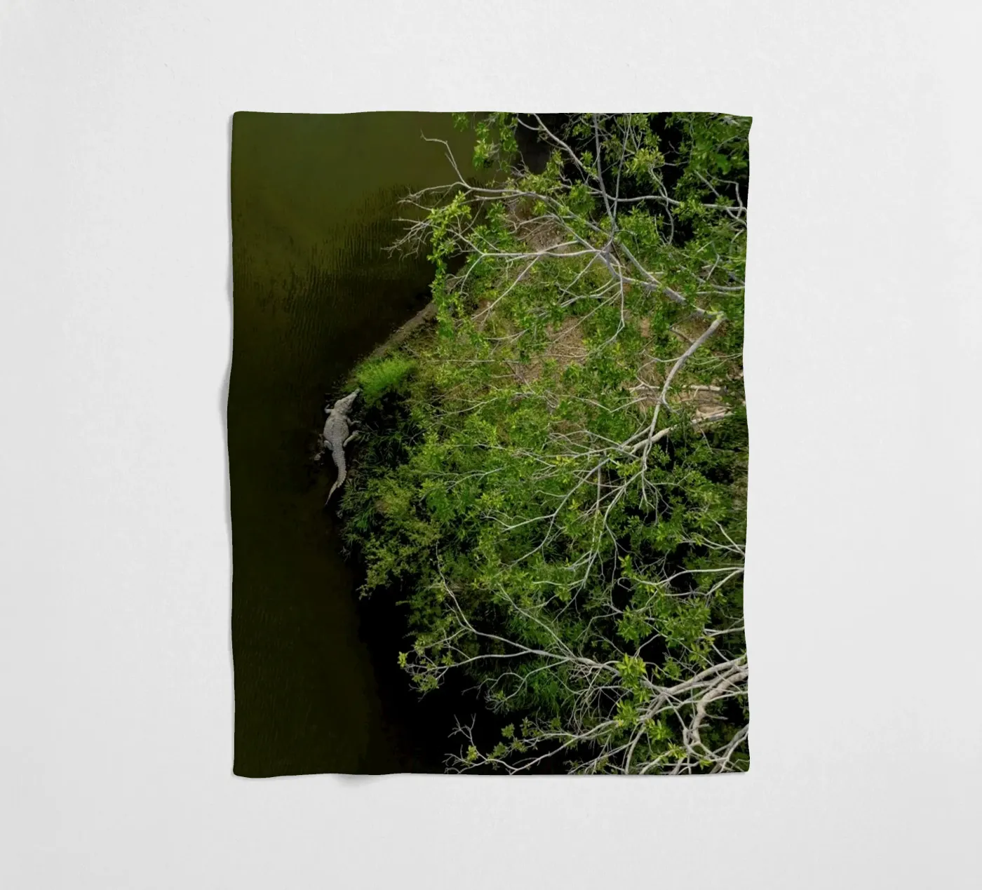 Cocodrilo fleece blanket by ROBERTO H