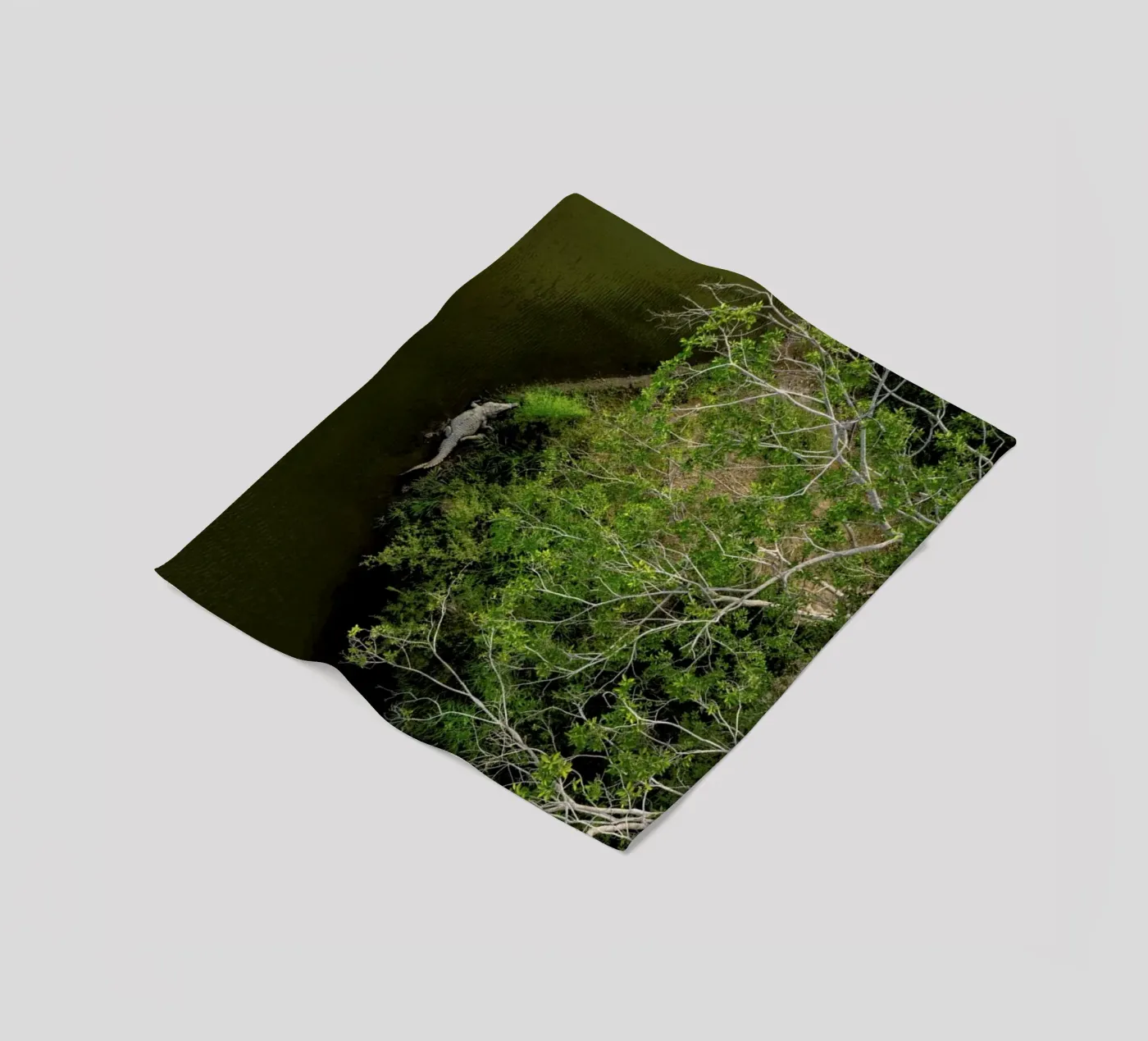 Cocodrilo fleece blanket by ROBERTO H