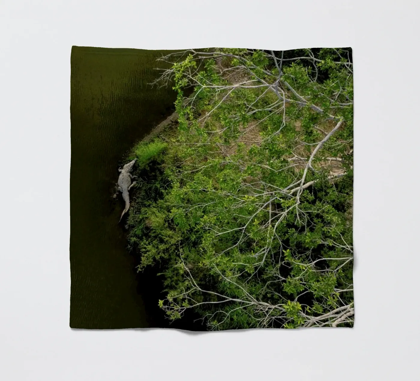 Cocodrilo fleece blanket by ROBERTO H