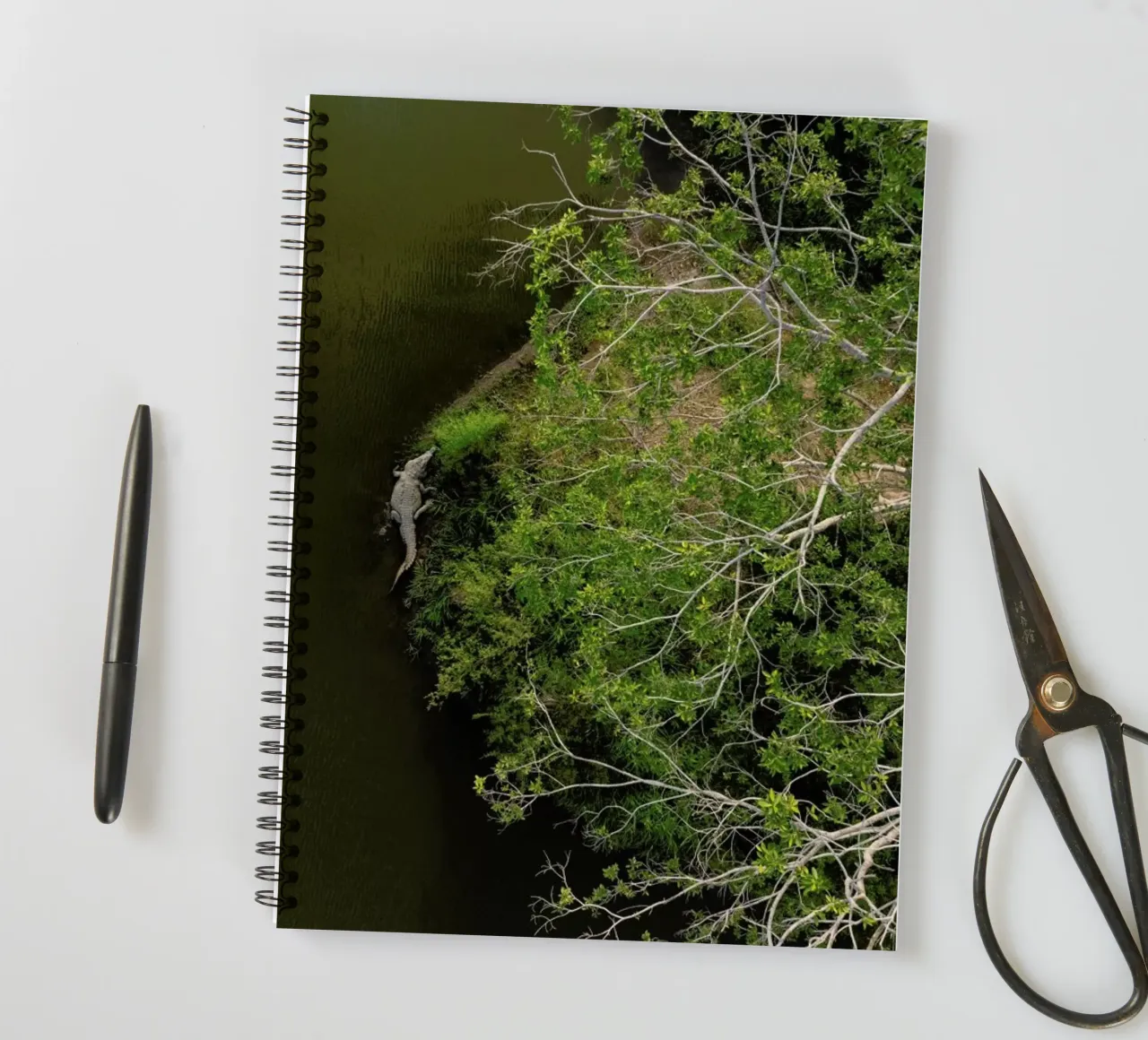 Cocodrilo spiral notebook by ROBERTO H