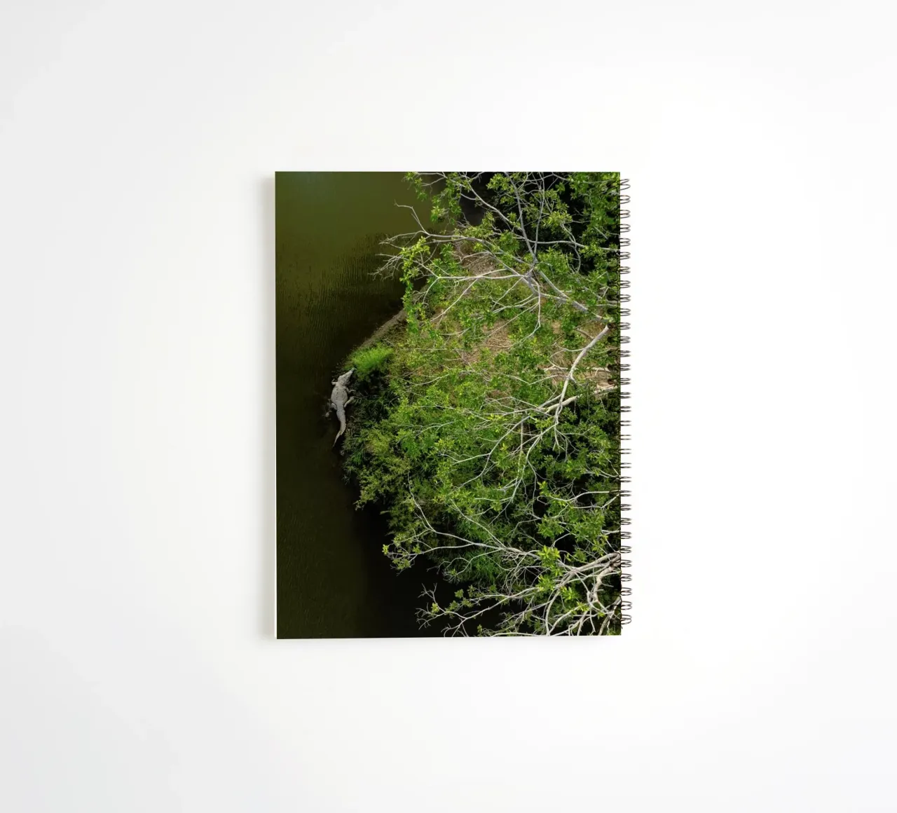 Cocodrilo spiral notebook by ROBERTO H