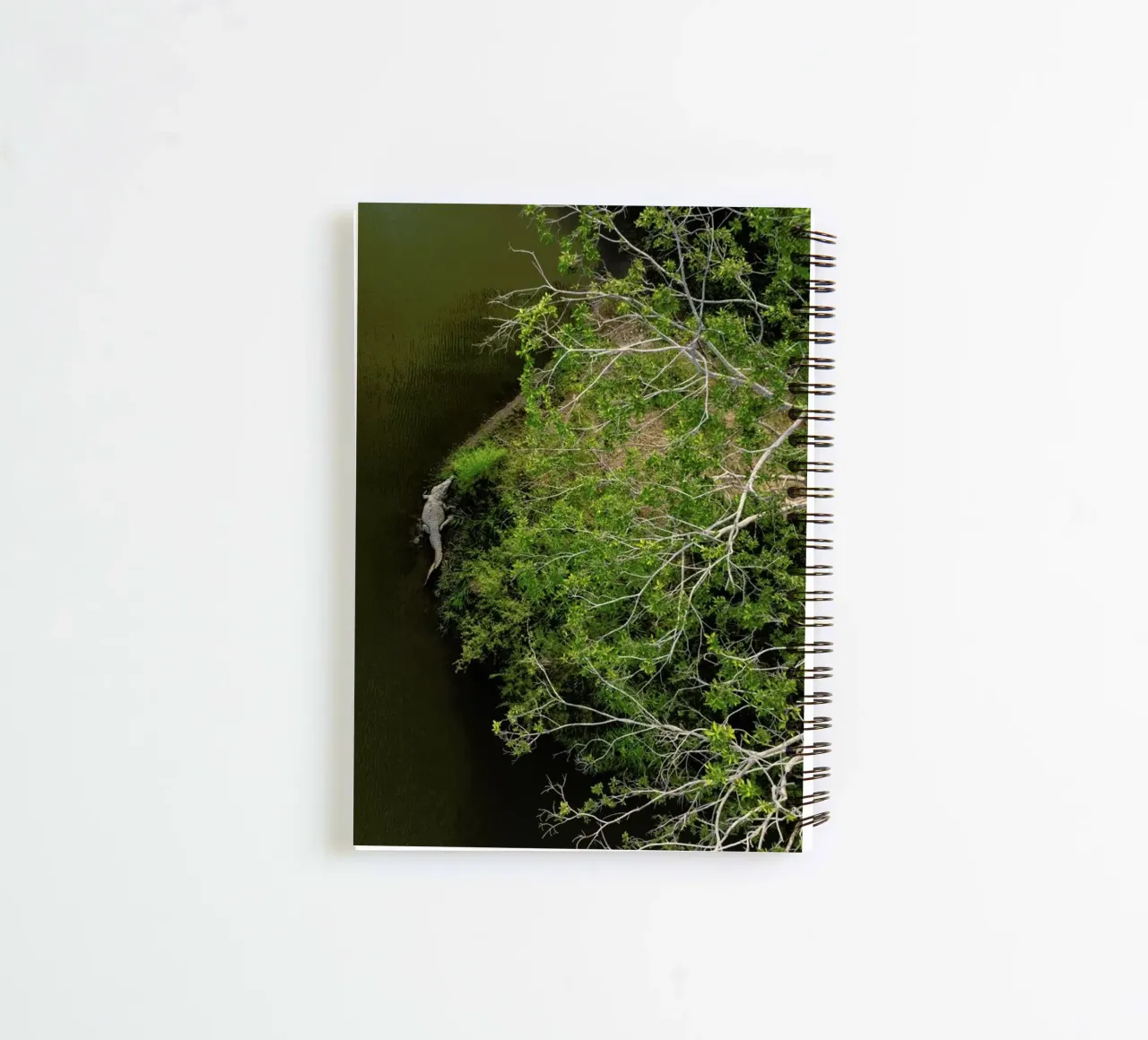 Cocodrilo spiral notebook by ROBERTO H