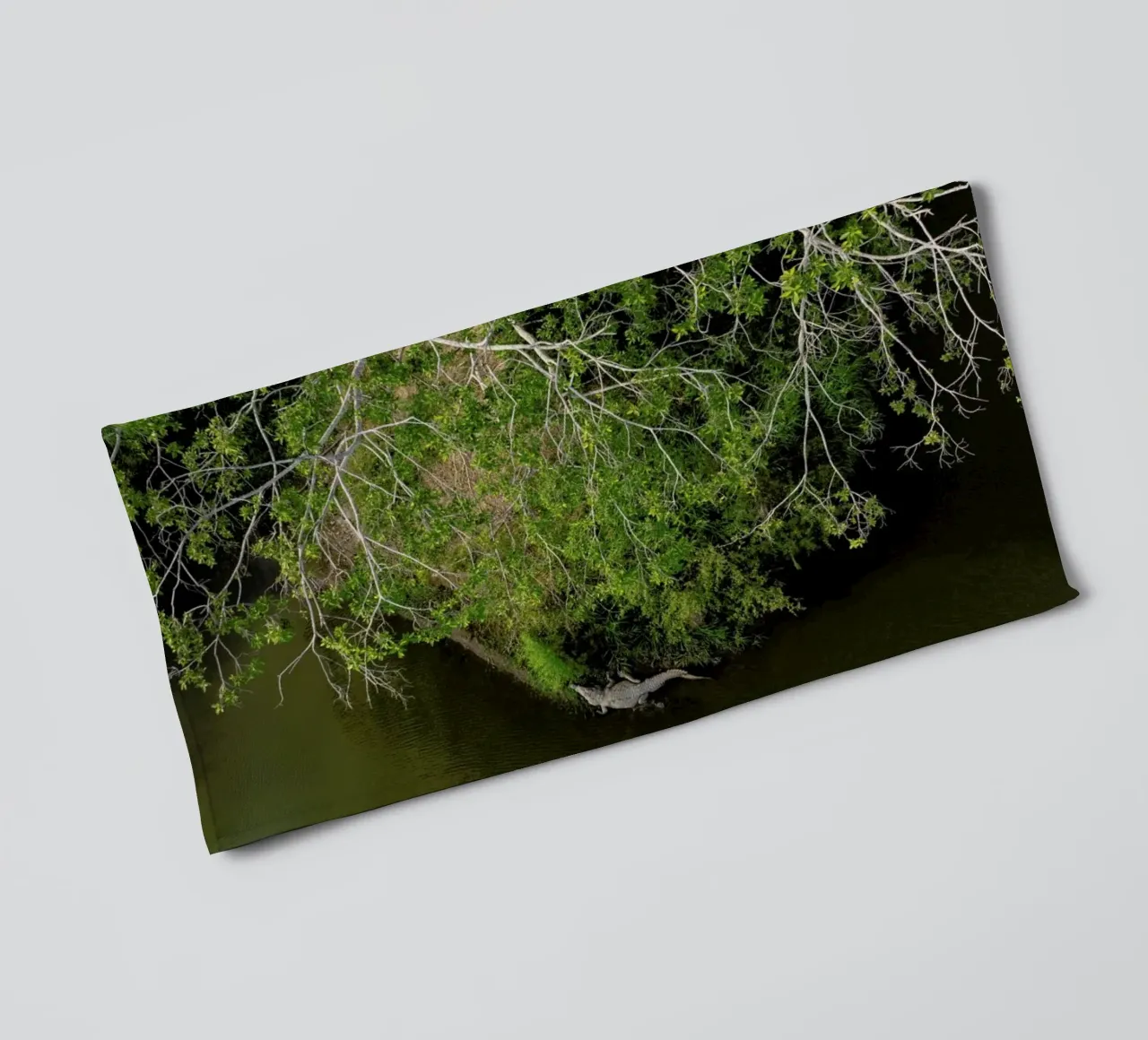 Cocodrilo asciugamano da bagno da ROBERTO H