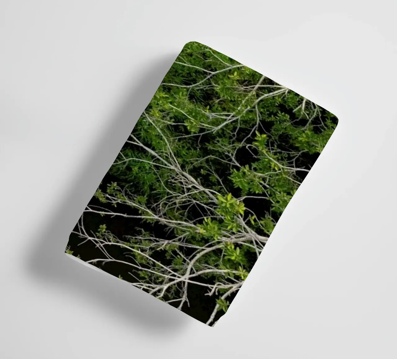 Cocodrilo asciugamano da bagno da ROBERTO H