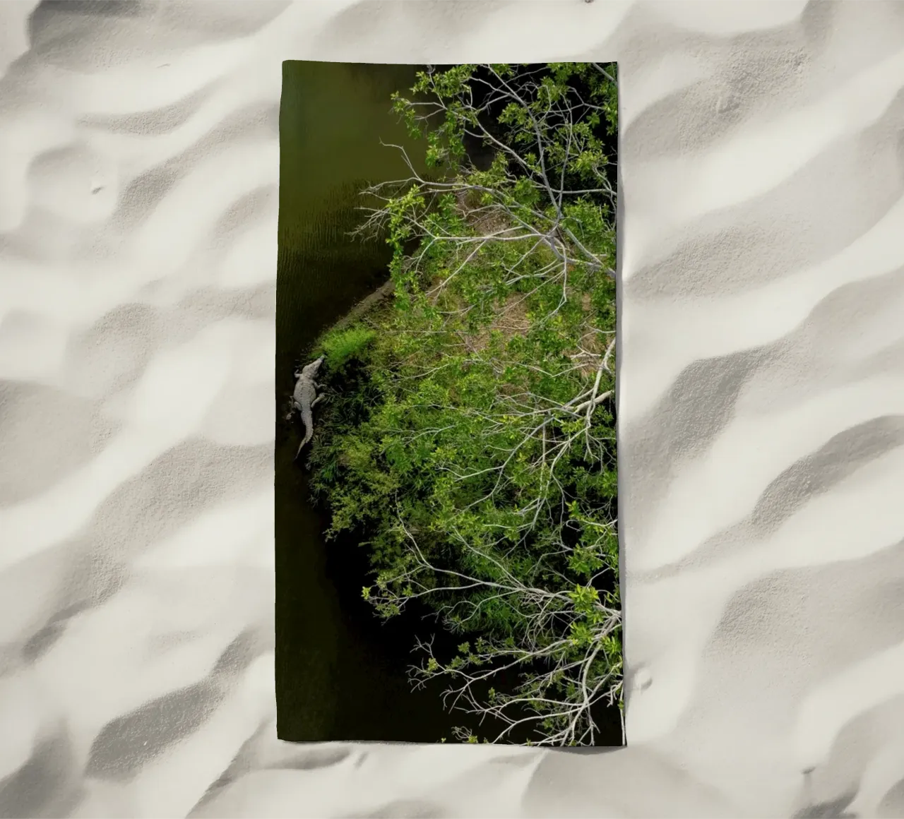 Cocodrilo telo mare da ROBERTO H