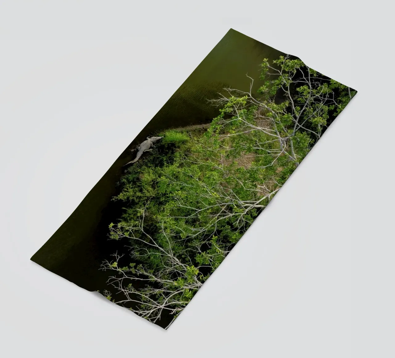 Cocodrilo telo mare da ROBERTO H