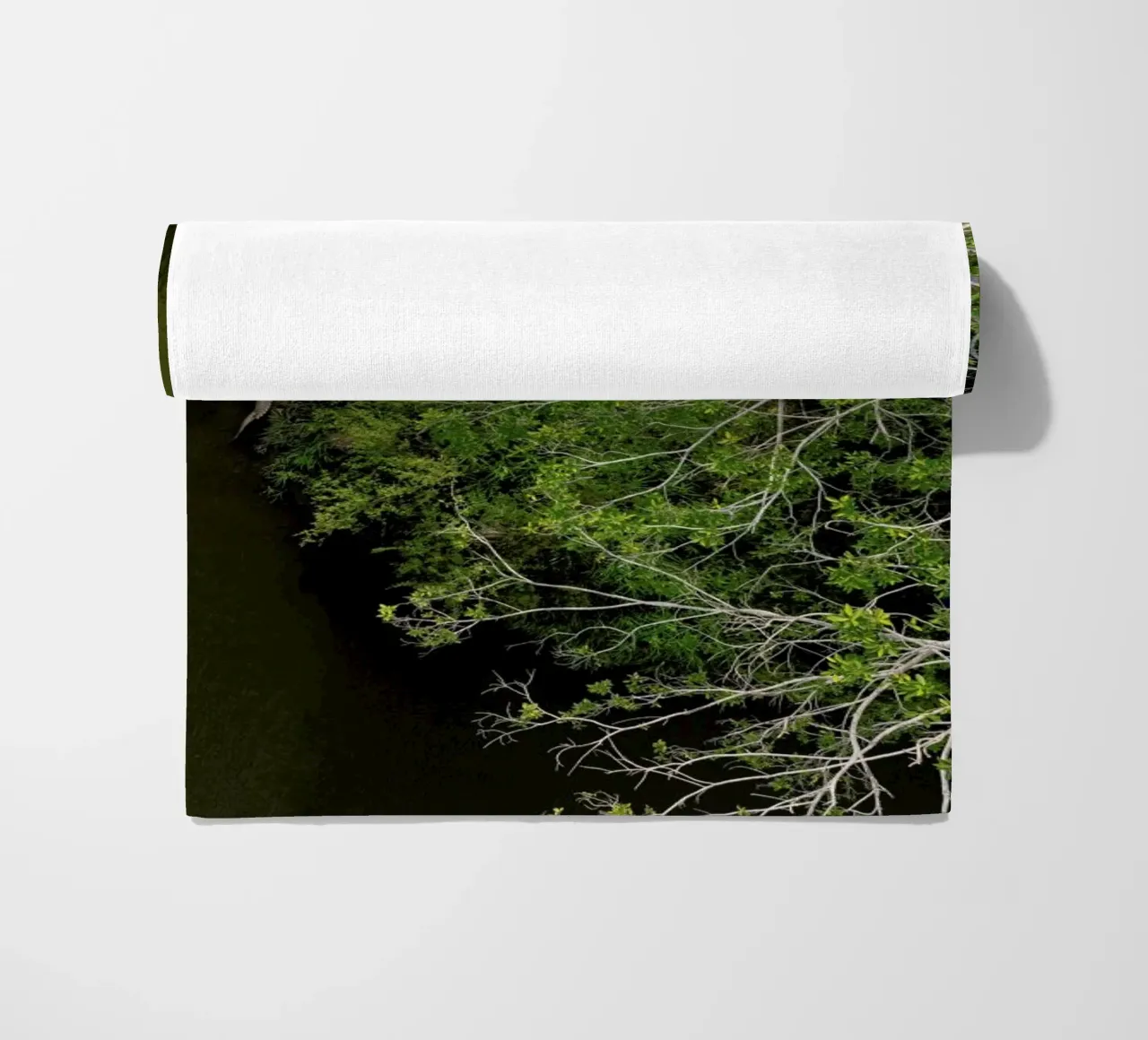 Cocodrilo telo mare da ROBERTO H