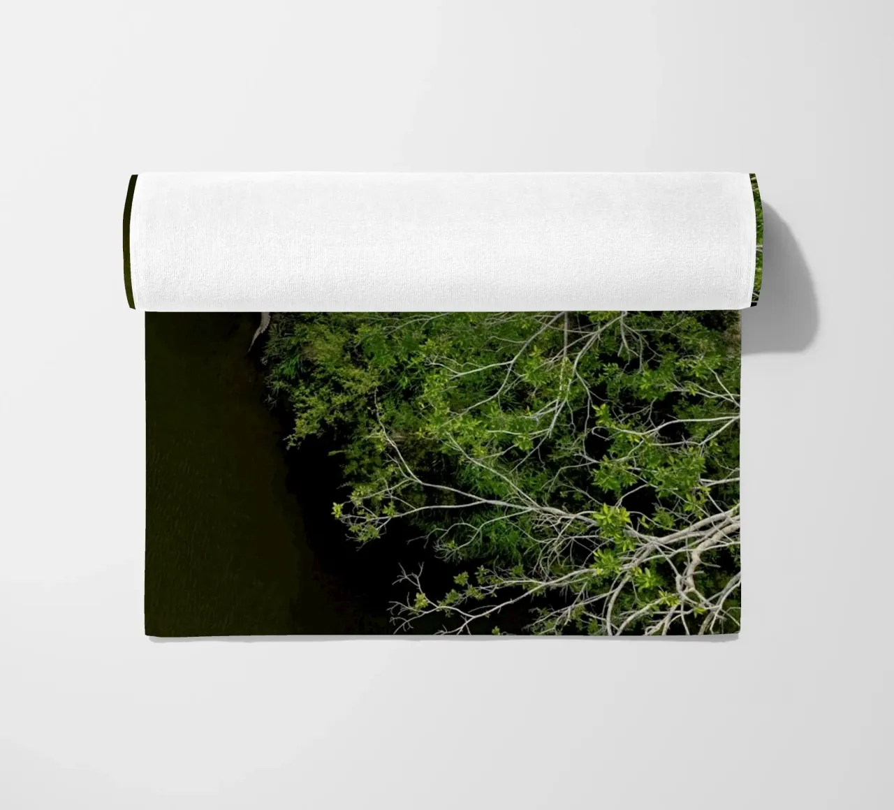 Cocodrilo telo mare da ROBERTO H