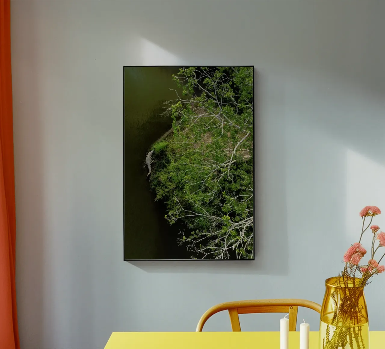 Cocodrilo plexiglass da ROBERTO H