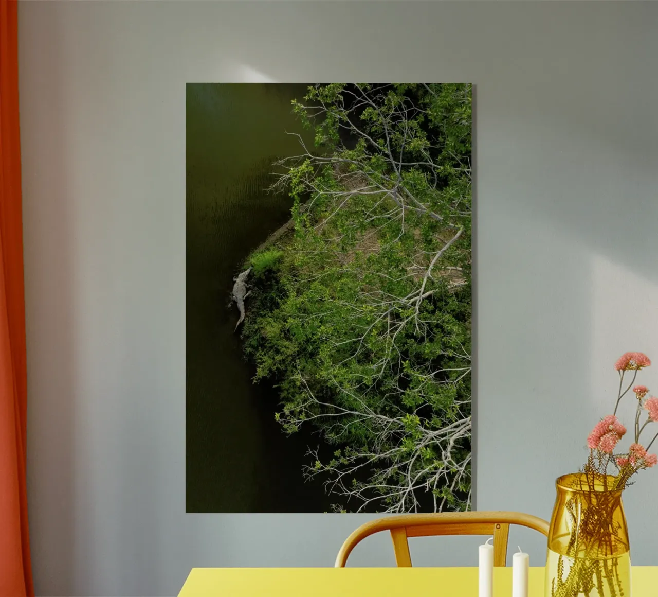 Cocodrilo plexiglass da ROBERTO H